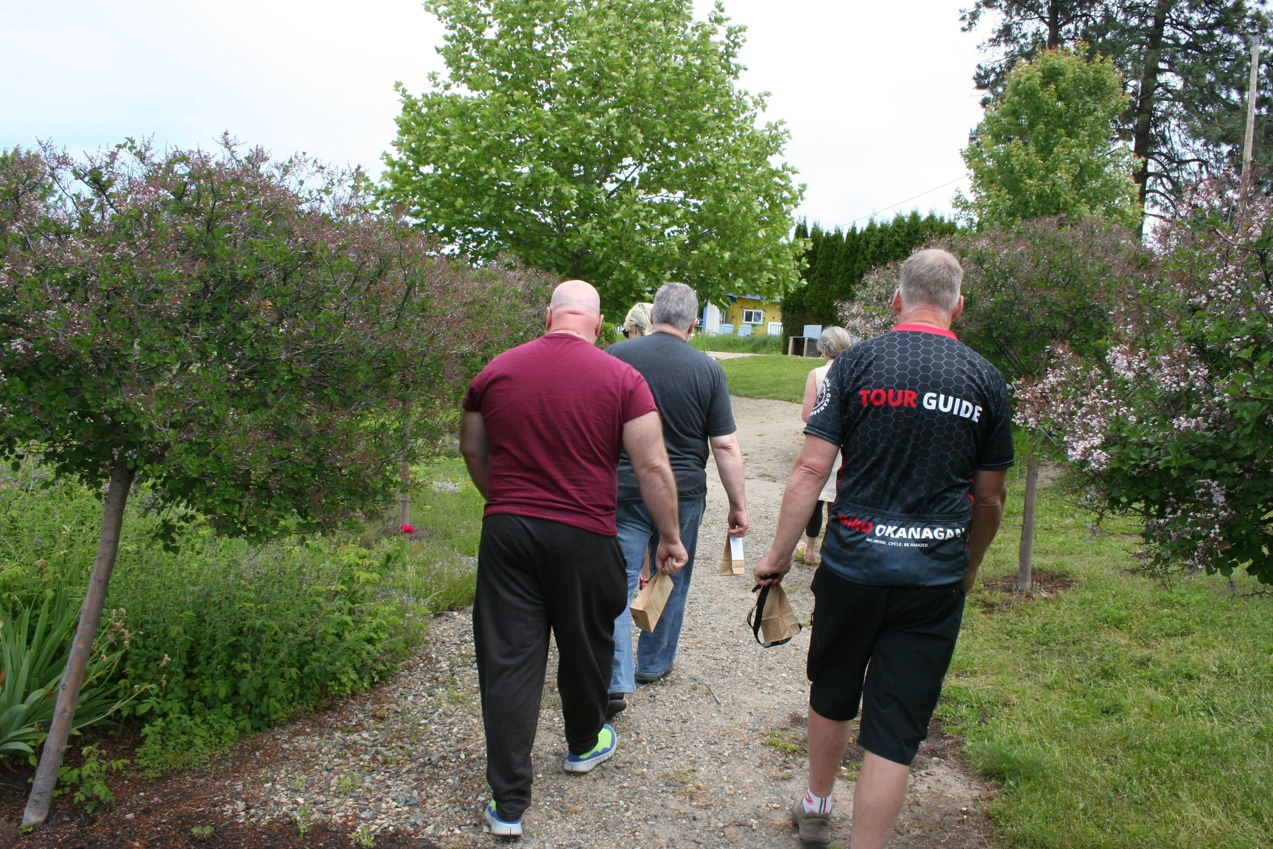 Go Foraging!