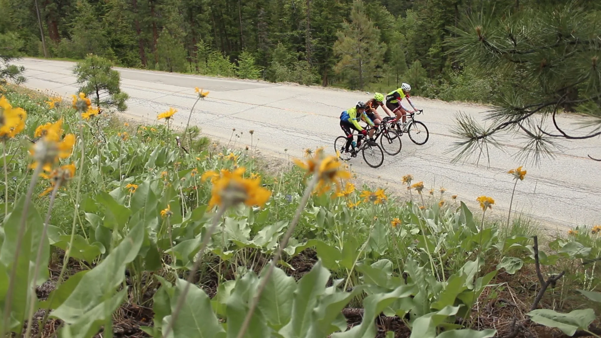 Cycling Green Mountain Road copy.jpg