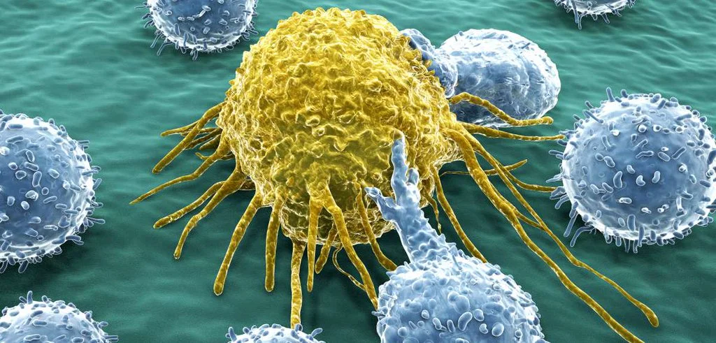 cancer biology.jpg