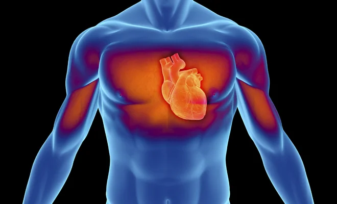 cardiovascular disease.jpg