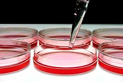cell-culture-image.jpg