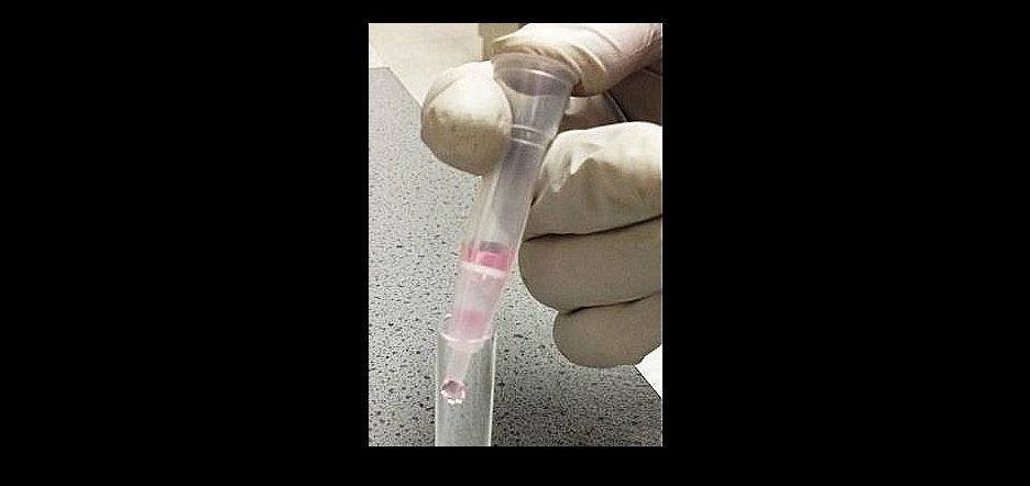 1-EZPrep Cell Srainer2.jpg