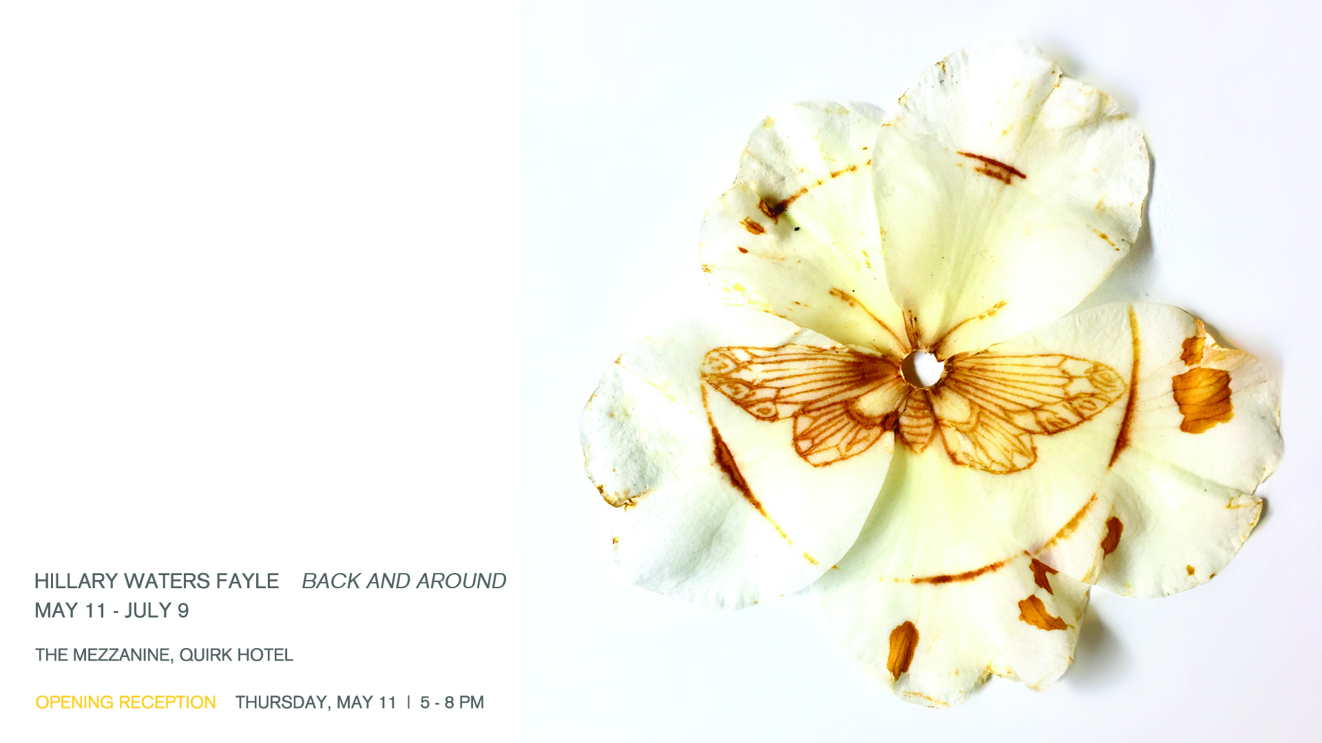 "I'm going back to look around; to find something new in the familiar landscape of all that's come before. 'Back and Around' is a collection of works which embraces the idea of circling back in order to retrace steps and pull together all that has been lost along the way; forgotten and left untouched in the hurried pursuit of more urgent ideas. This is the second chance; the celebration and re-discovery of collected materials, ideas, techniques and motifs that have been waiting quietly to come forth." Hillary Waters Fayle is an artist from Elma, New York. Fayle completed a MFA in Craft/Material Studies at Virginia Commonwealth University, and a BFA at Buffalo State College. She now lives in Richmond, VA where she maintains her own practice, works as an artist assistant as well as an instructor and program coordinator at VCU. Her work is currently being shown nationally and abroad and has been published widely online and in print. Please join Quirk and Hillary Waters Fayle in the Mezzanine at Quirk Hotel this Thursday evening from 5 - 8 pm for the opening reception of "Back and Around."