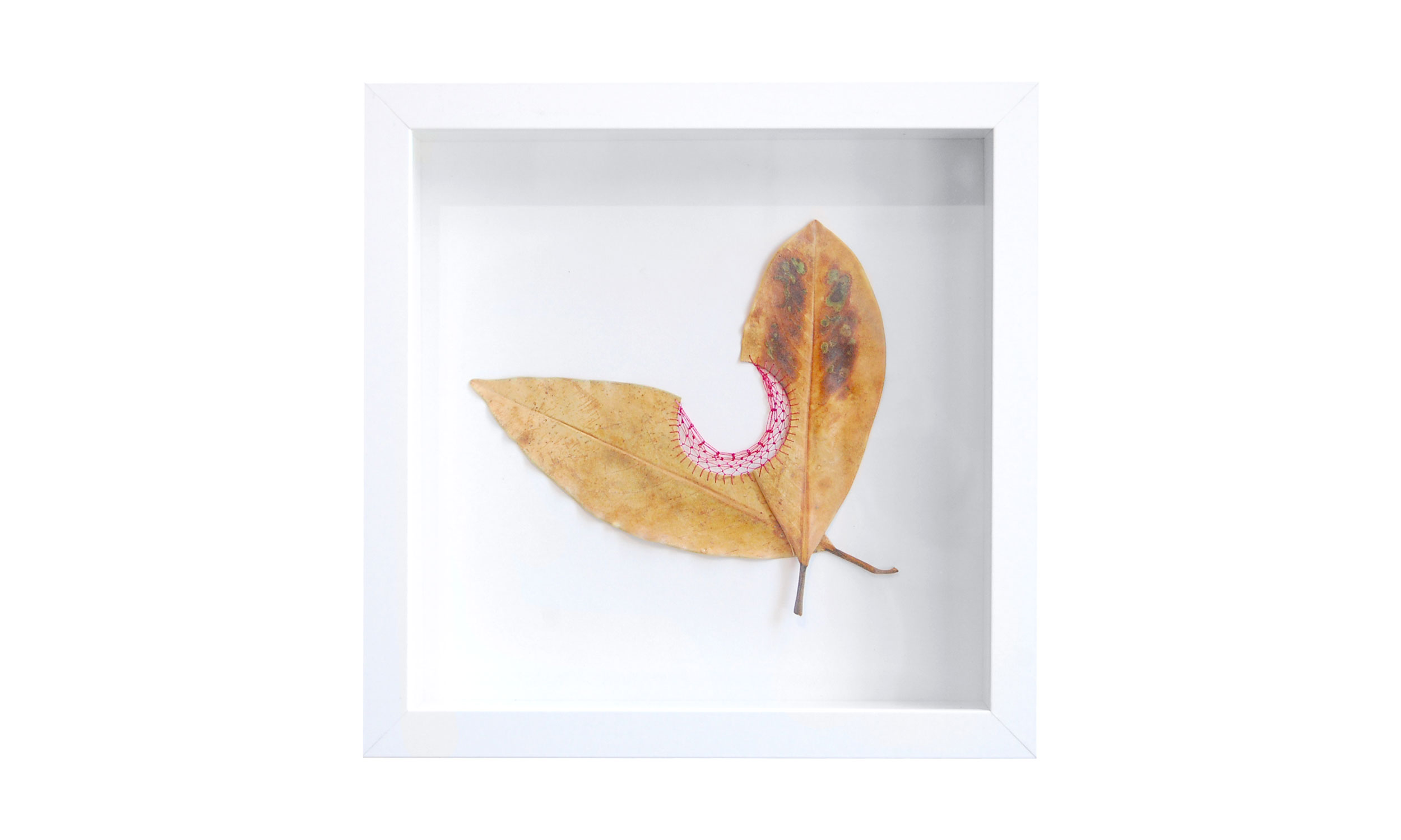 Leaf Quartet III, hand cut and stitched leaves, 10" x 10", $400 Contact us for purchase