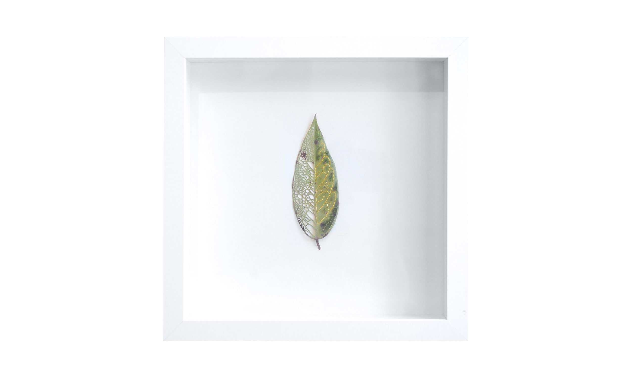 Leaf Quartet I , hand cut and stitched leaf, 10" x 10", $400 Contact us for purchase