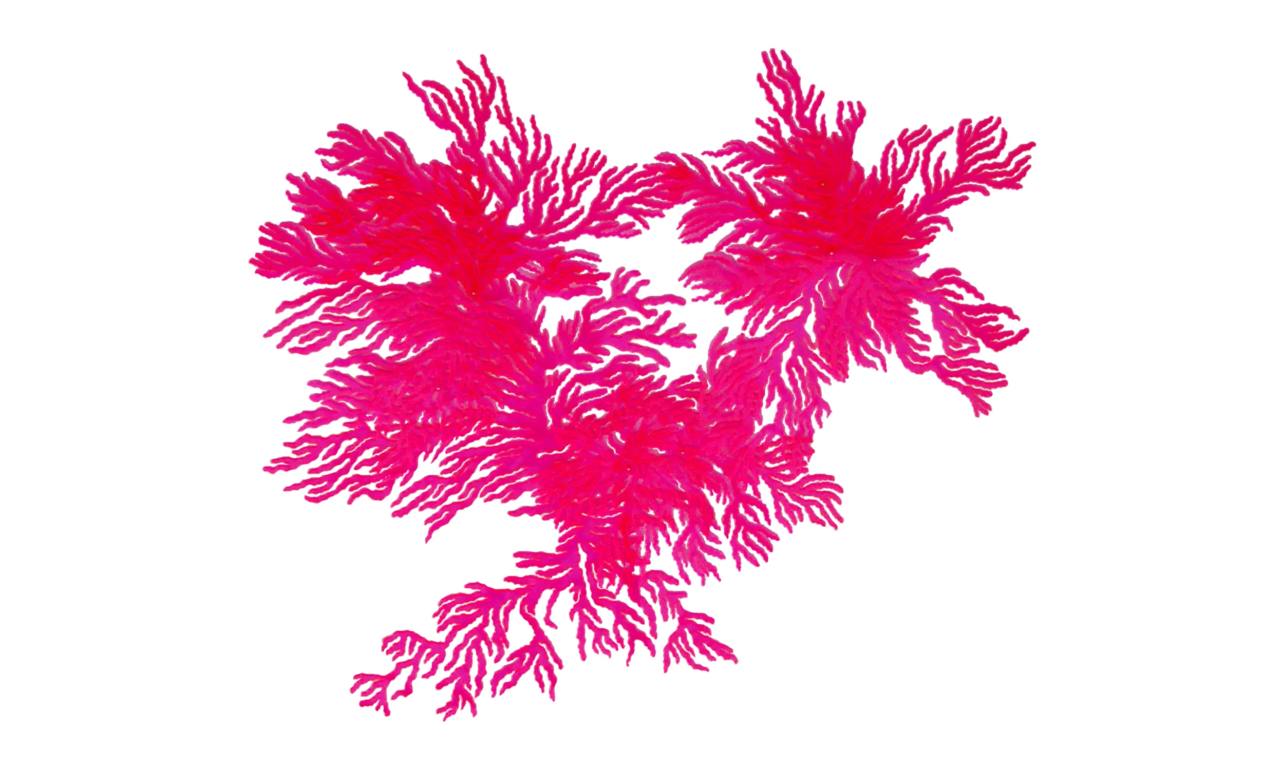 Untitled, hand-cut fluorescent plexi, variable dimensions, $2500 Contact us for purchase
