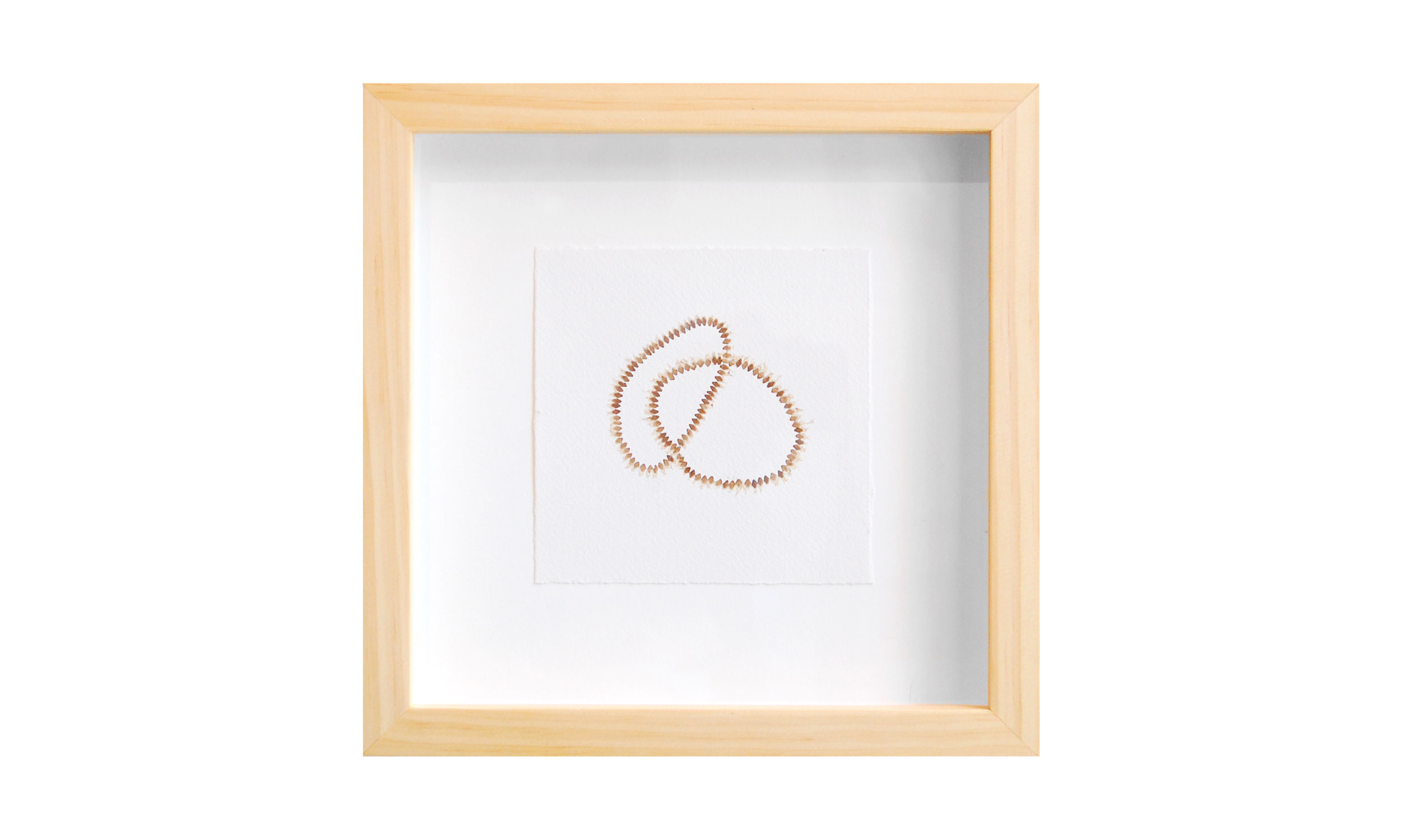 Snake Charmer No.1, shed snake skin on paper, 10" x 10", $400