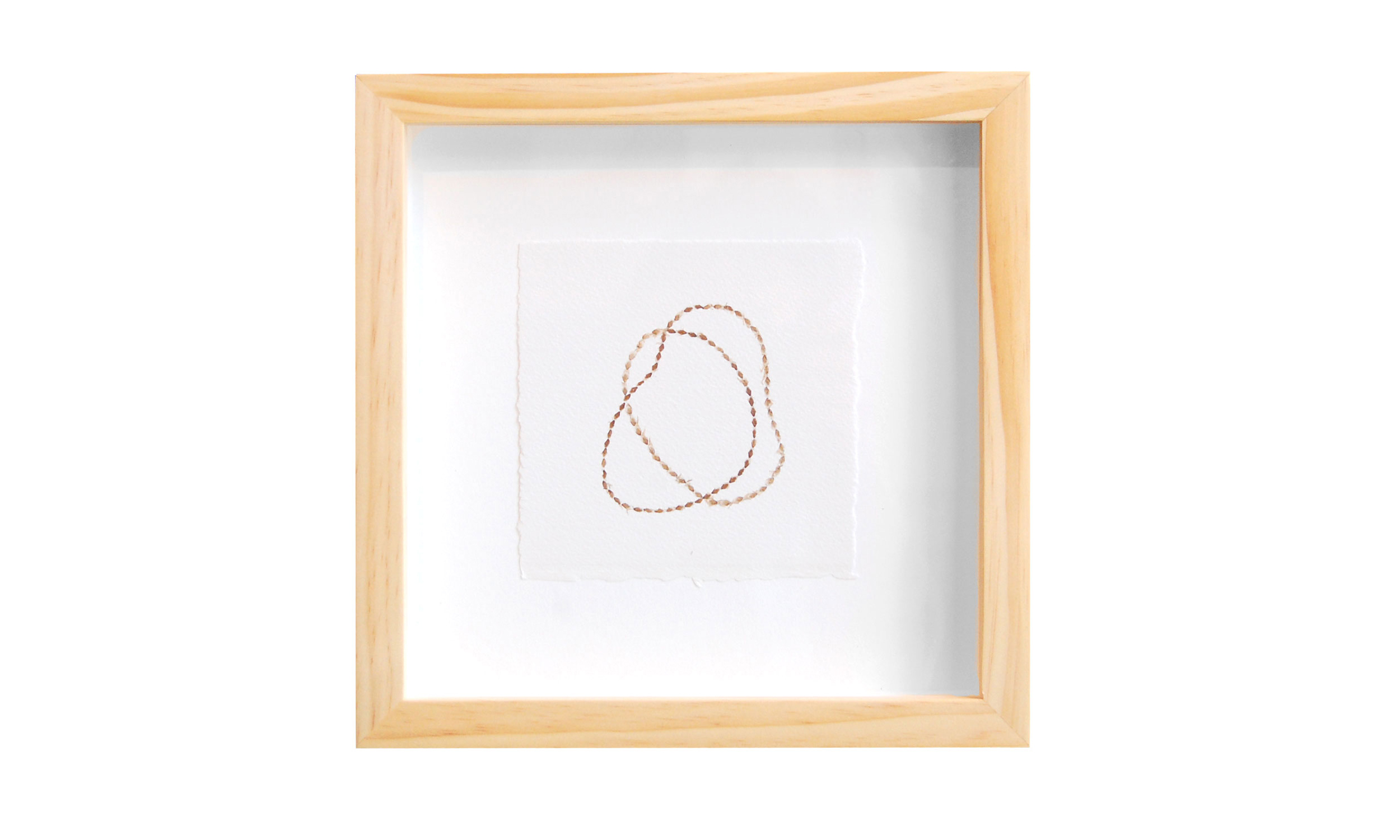 Snake Charmer No.3, shed snake skin on paper, 10" x 10", $400