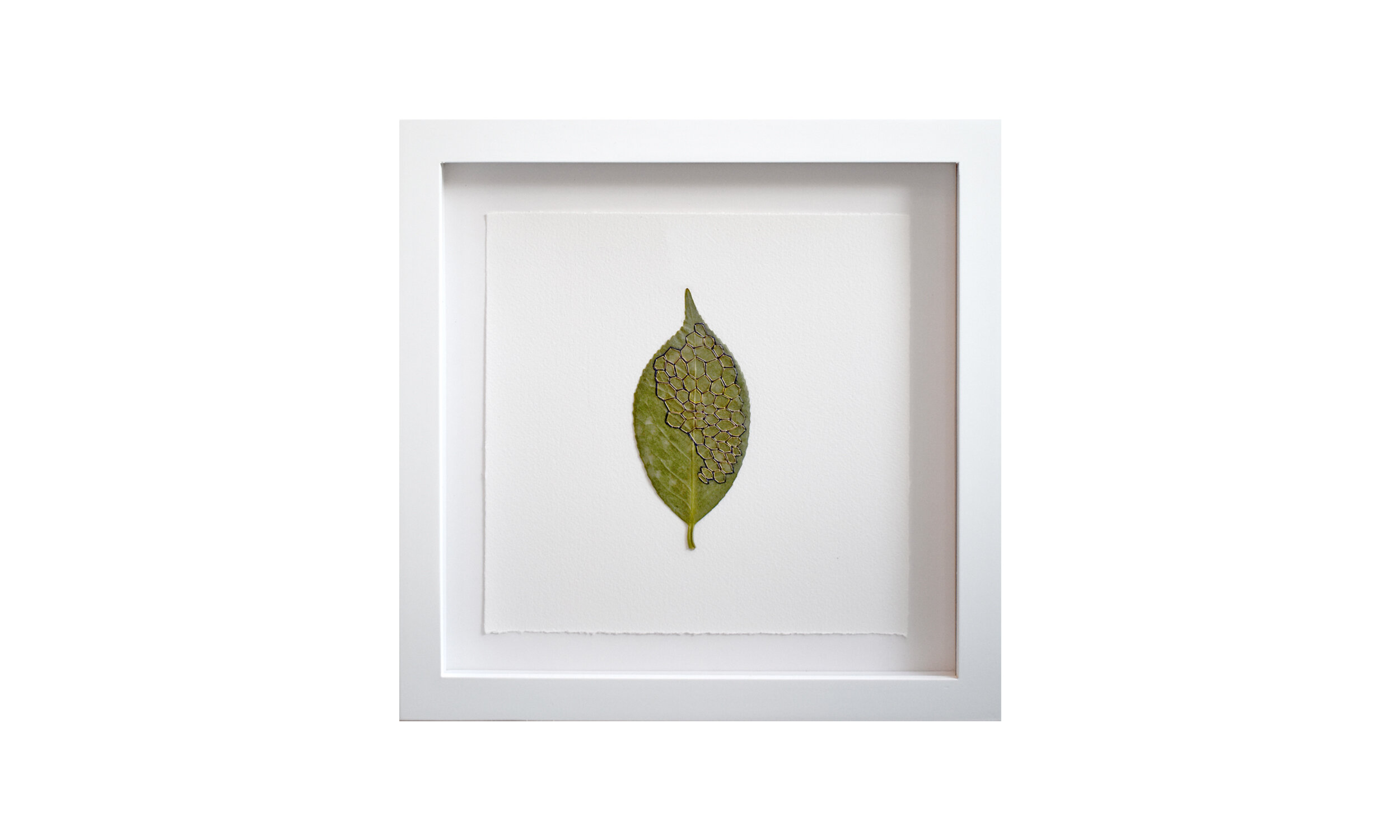 Honeycombs , hand stitched camellia leaves, 11.25” x 11.25” each, framed, $ 1,800 (set of three) Contact us for purchase