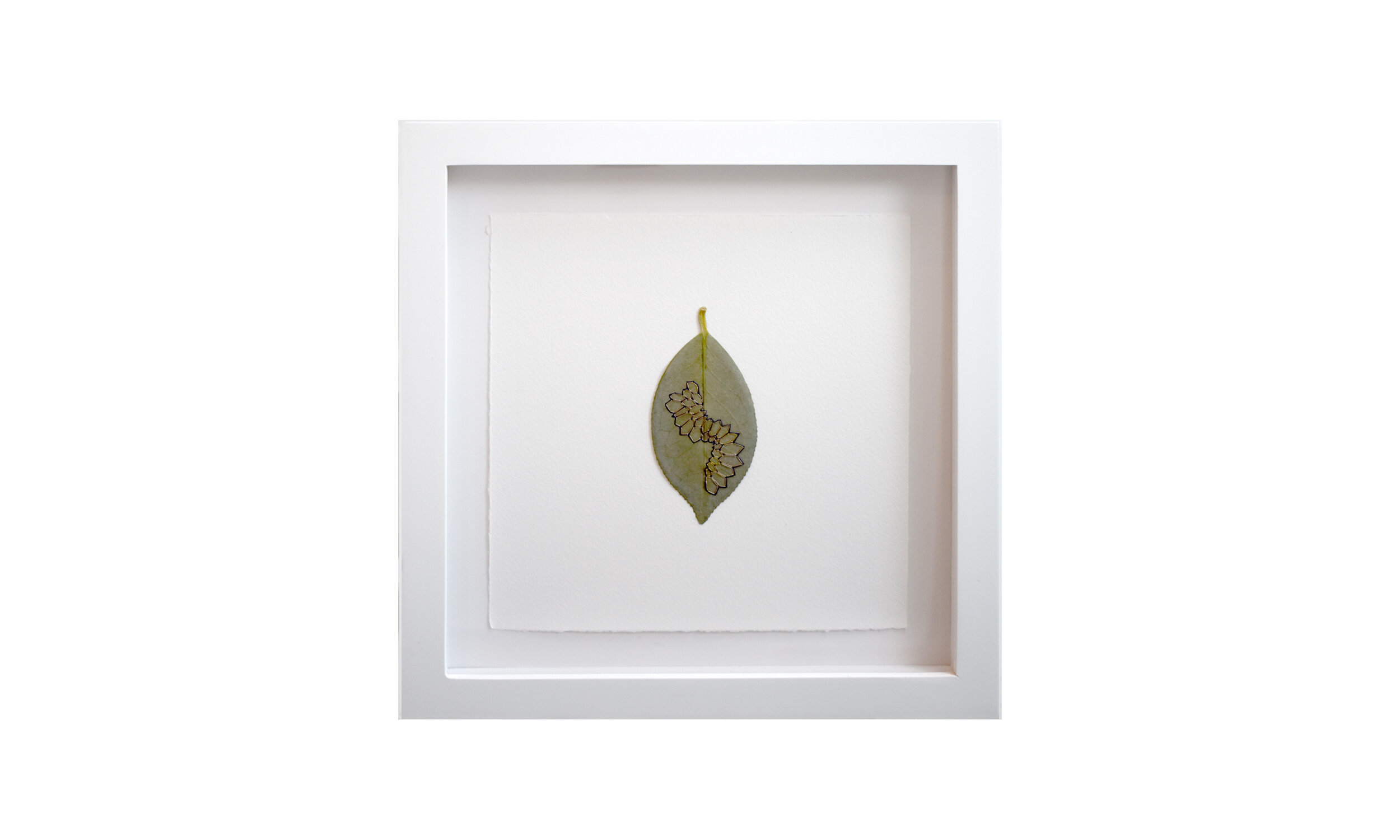 Honeycombs , hand stitched camellia leaves, 11.25” x 11.25” each, framed, $ 1,800 (set of three) Contact us for purchase