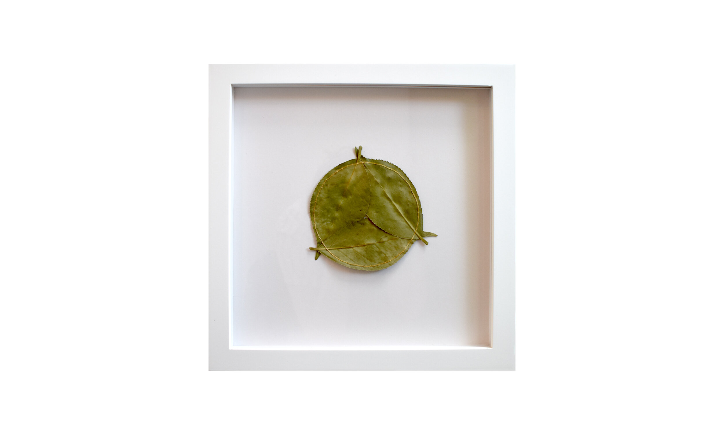 Circle Inscribed, stitched camellia leaves, 11.25” x 11.25”, framed $850 Contact us for purchase