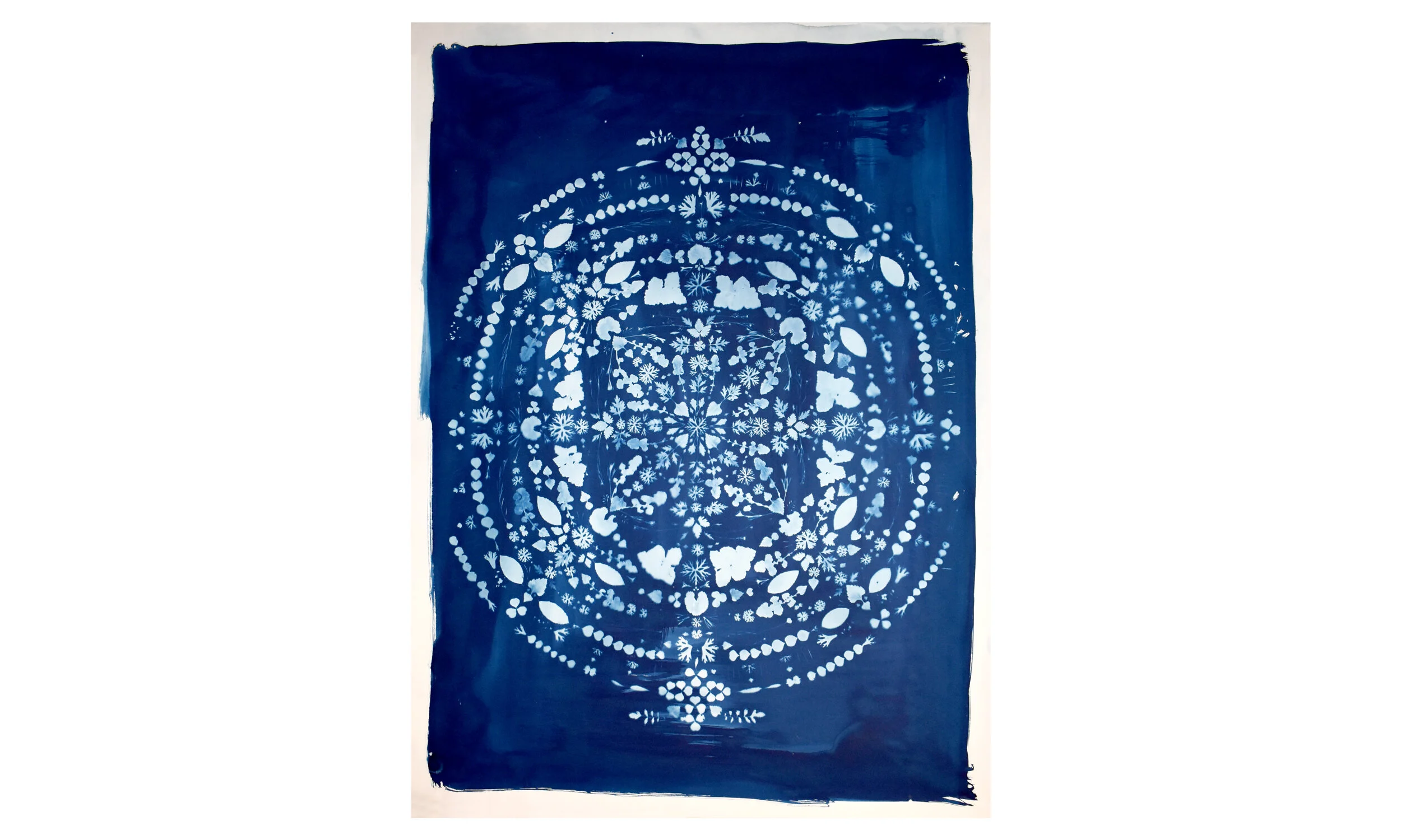 Earthly Mandala I, cyanotype on paper 40.25 x 55.25 inches, unframed $ 3,500 Contact us for purchase
