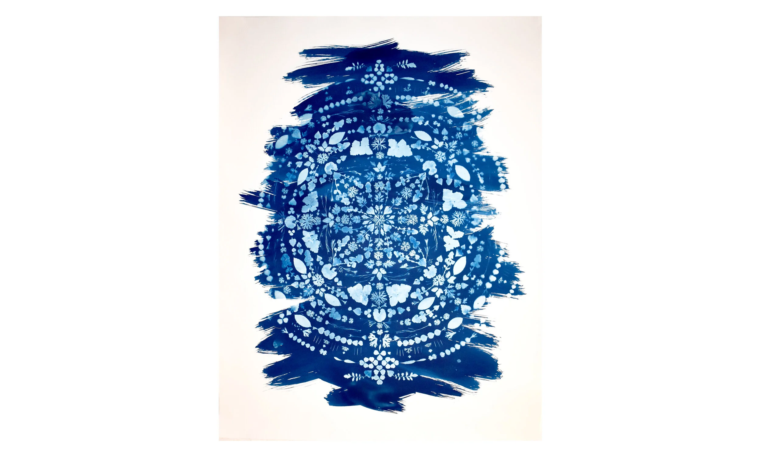 Earthly Mandala III, cyanotype on paper, 41.25” x 55.25”, unframed $ 3,500 Contact us for purchase