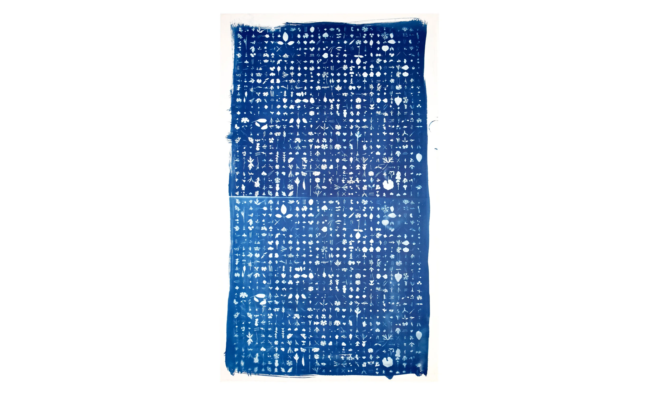 Text, cyanotype diptych on paper, 32.5” x 55”, unframed $3,500 Contact us for purchase