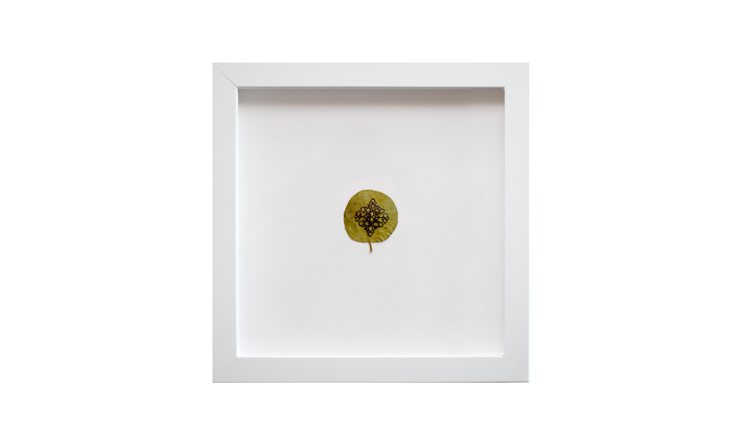 Micro Mandala I & II, embroidered caper leaves 11.25” x 11.25” each, framed $ 1,000 (set of two) Contact us for purchase