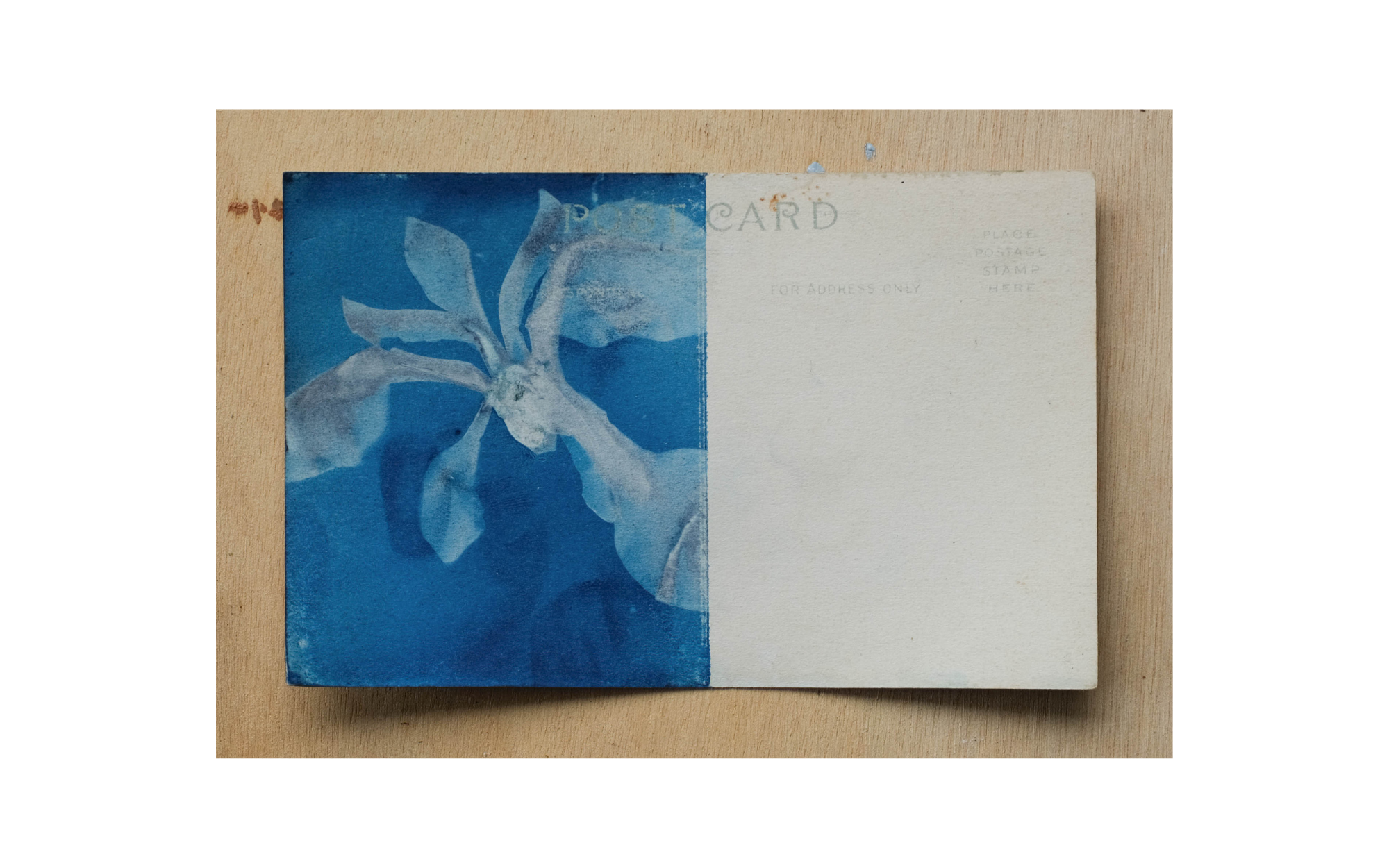  Brienna Kane,  Cyanotype Postcard 01 , 4 x 6”, vintage postcard, cyanotype chemistry, (Not for sale) 