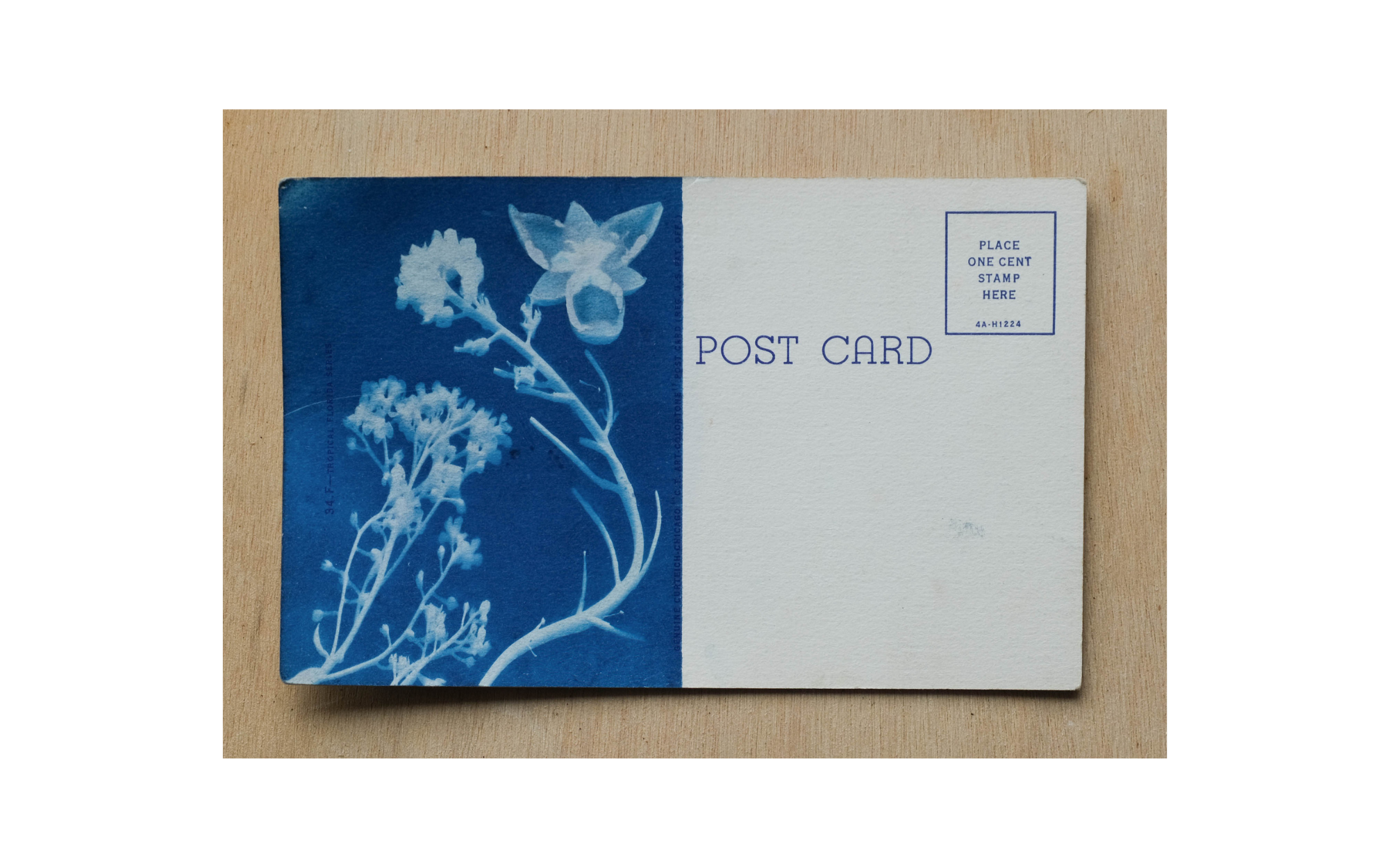  Brienna Kane,  Cyanotype Postcard 02 , 4 x 6”, vintage postcard, cyanotype chemistry, (Not for sale) 