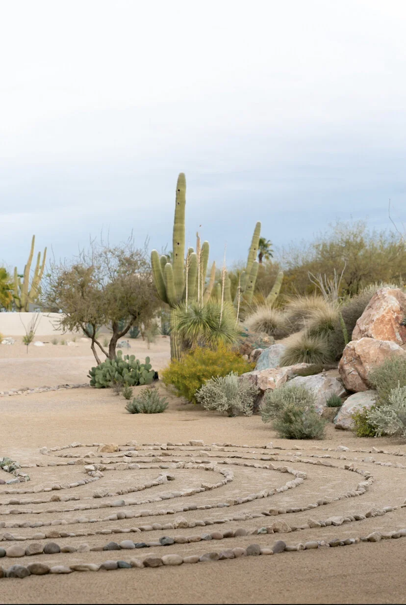 E43EAAD5-8FC8-4020-AA34-FCA1D58DBB3E