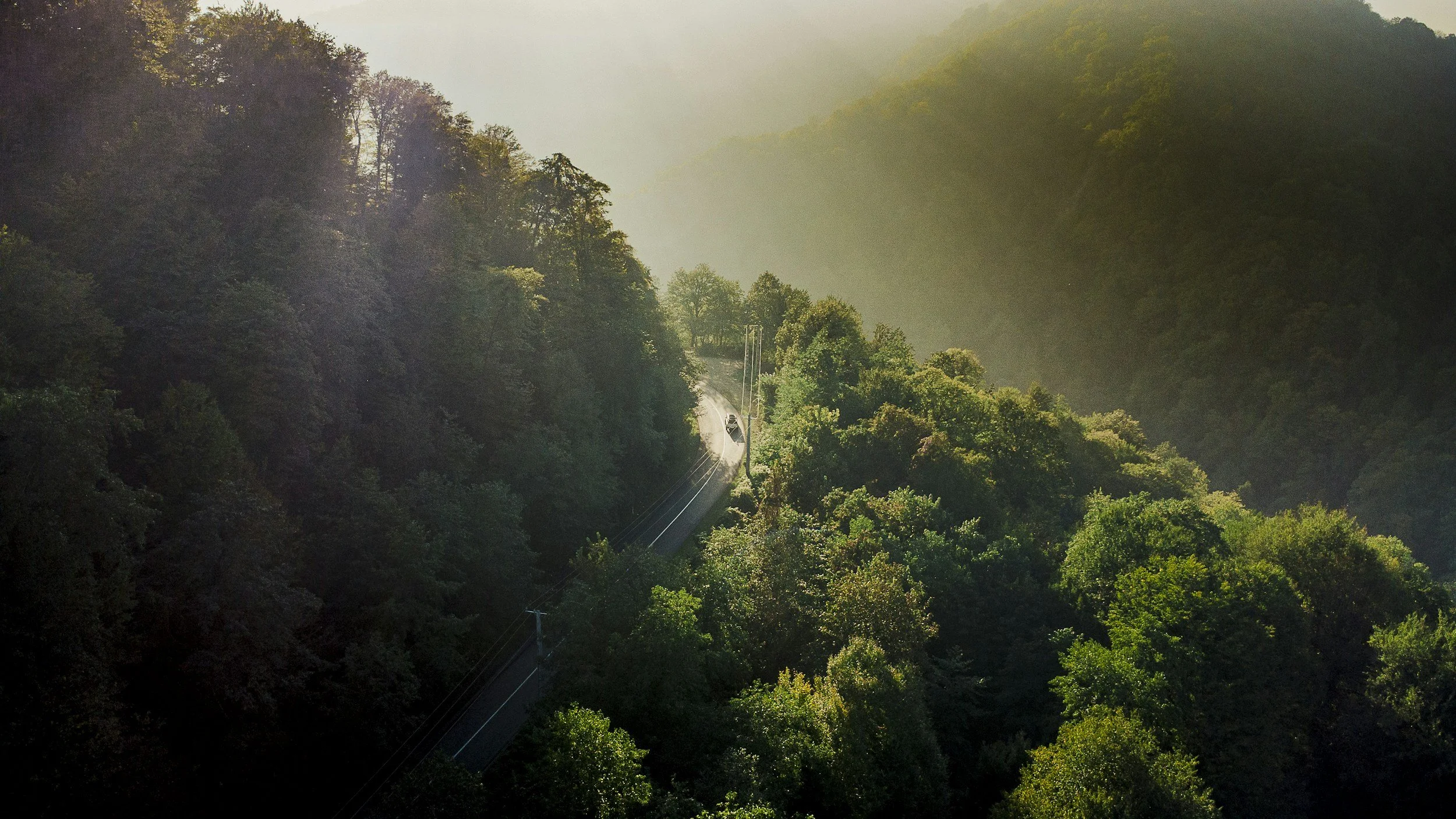 A Way in the Wilderness