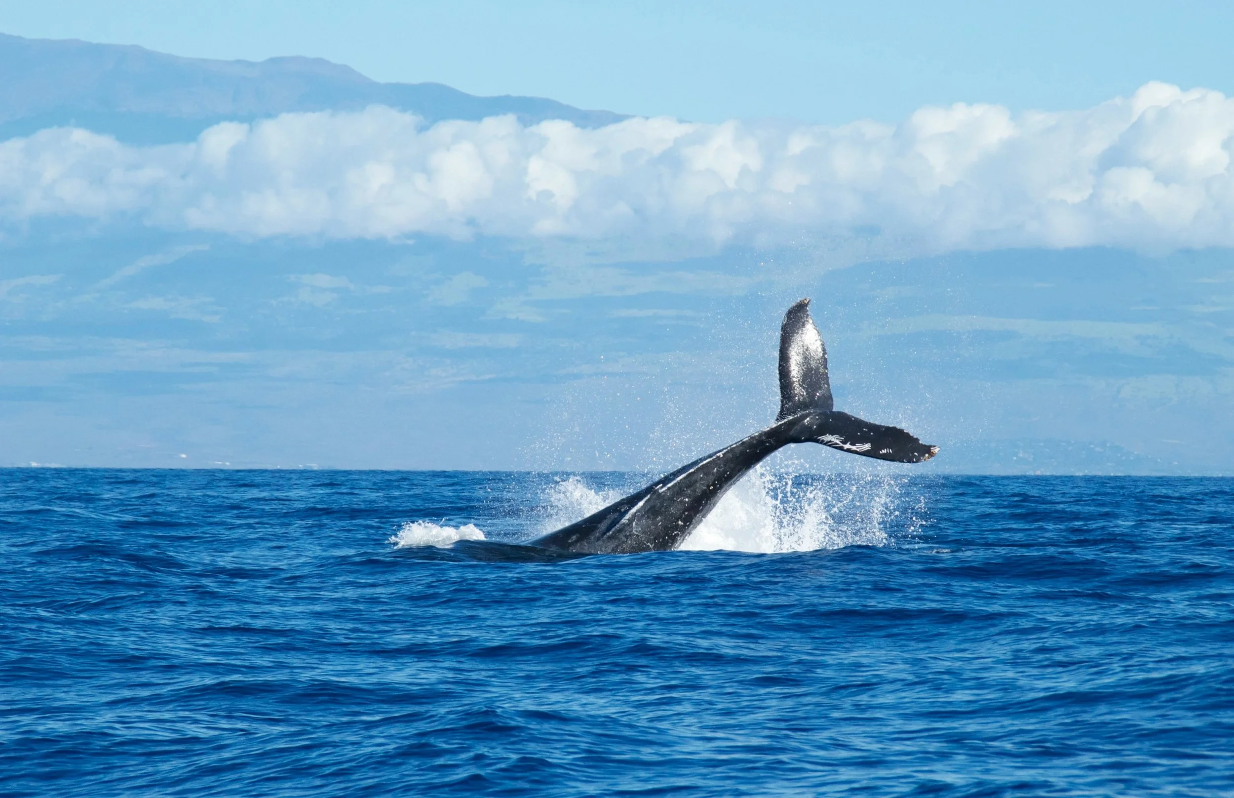 4 Mother’s day Lessons From the Book of Jonah