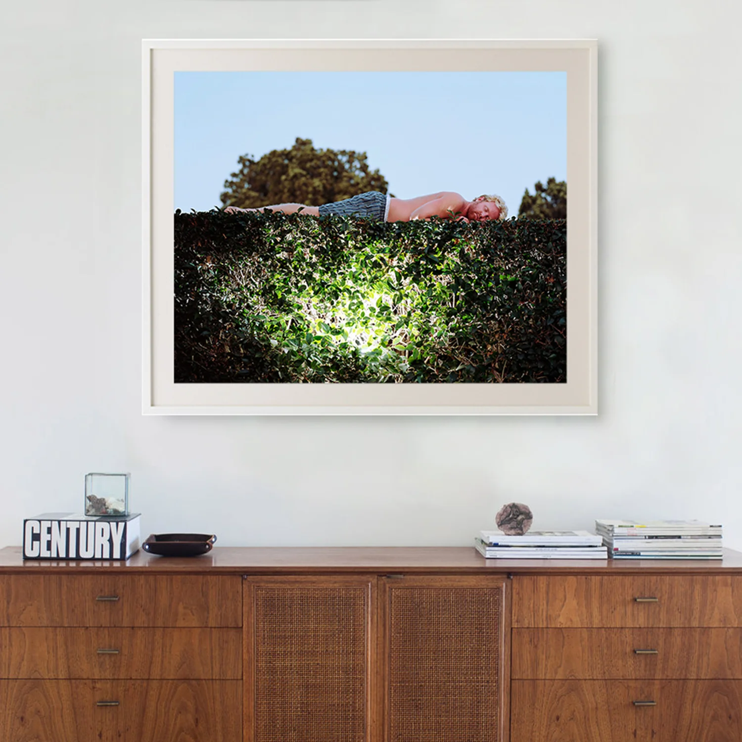 Levitating On Bush.jpg