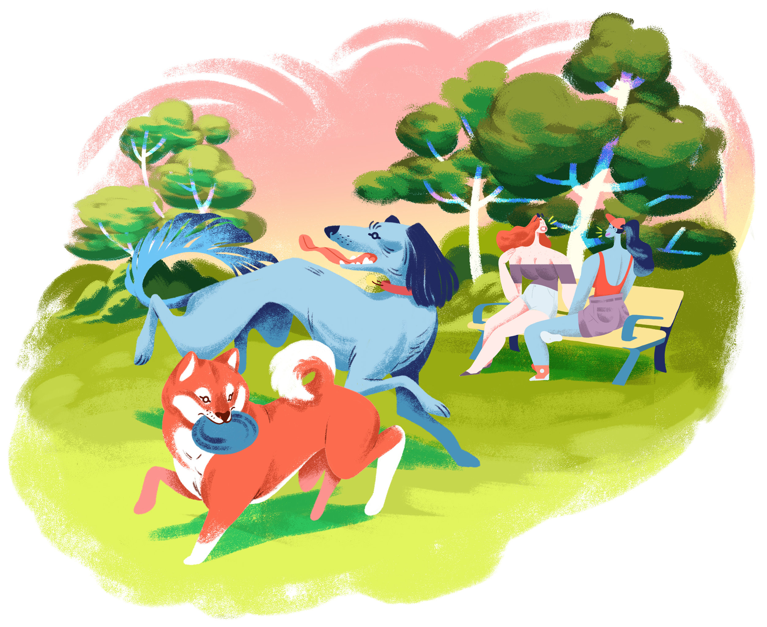 Off-leash dog parks