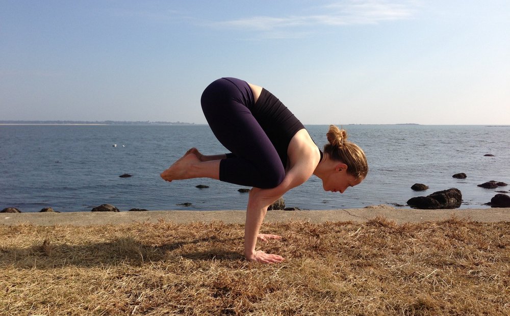 Let Go & Take Flight: An Arm Balance Workshop