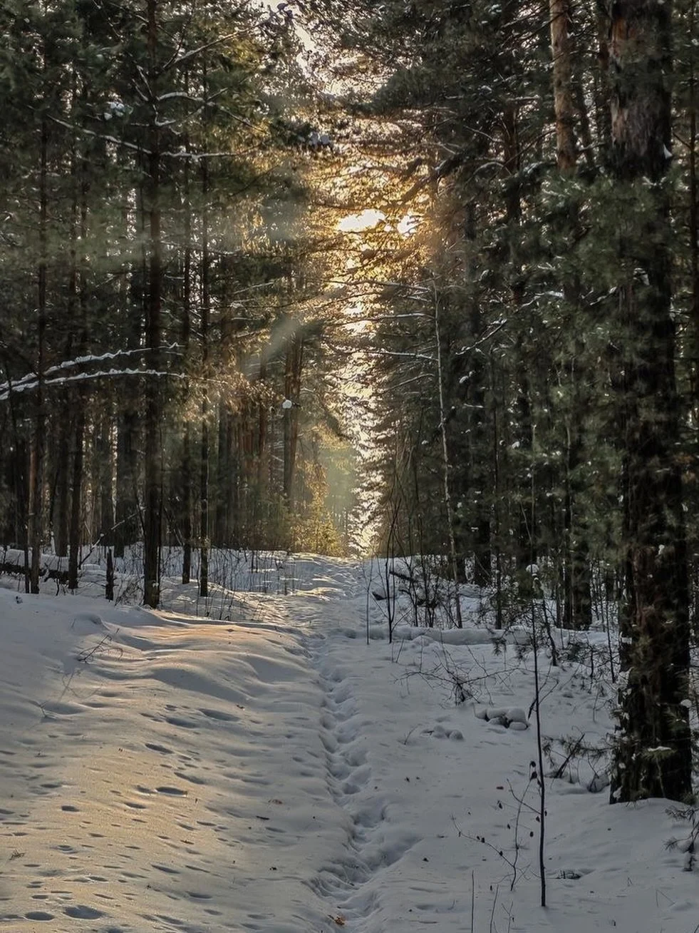 🧊 is terror. Abolish 🧊.

State violence is not border policy.
Family separation is not security.
Dehumanization is not governance.

A system built on white supremacist violence does not need reform. It needs to end.