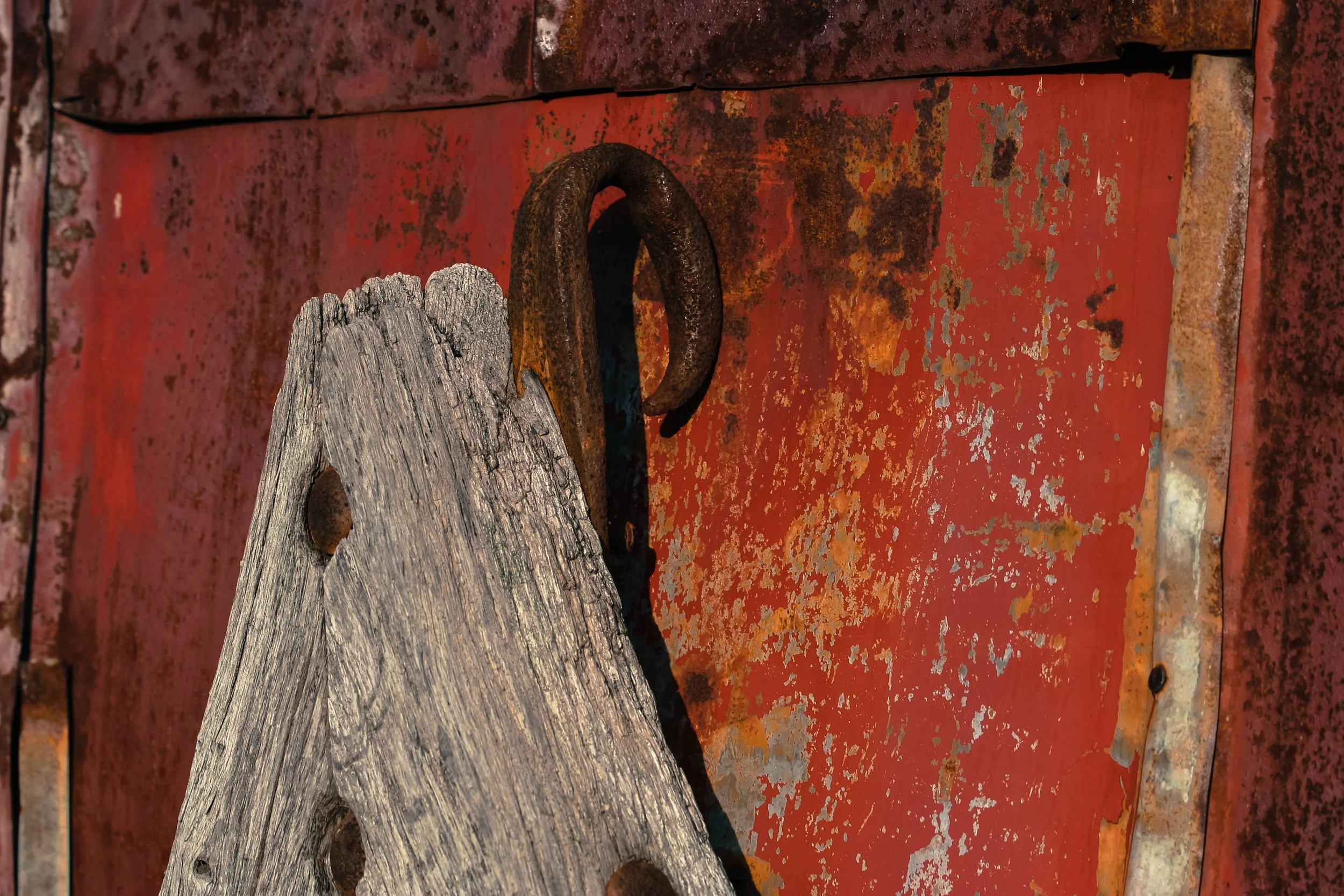 A sort of tiller, to be horse drawn, with black-smithed railroad spike components. Leaning against an old chicken coop that belonged to the black tenant farmers.