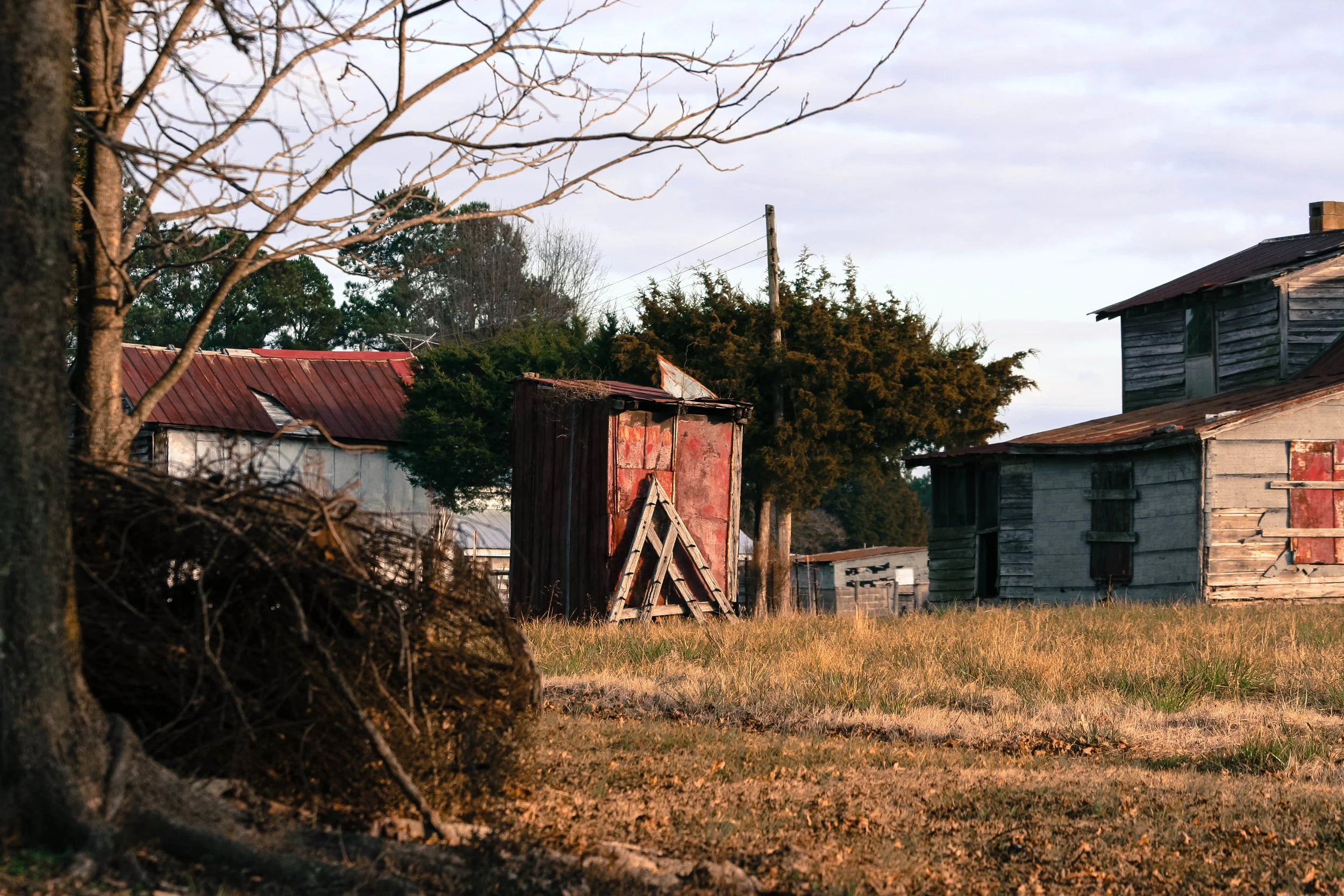 The house to the right was lived in by black tenant farmers. To the left is the old chicken coop. I am assuming that tiller is made of cedar because it seems like it could still be used today.