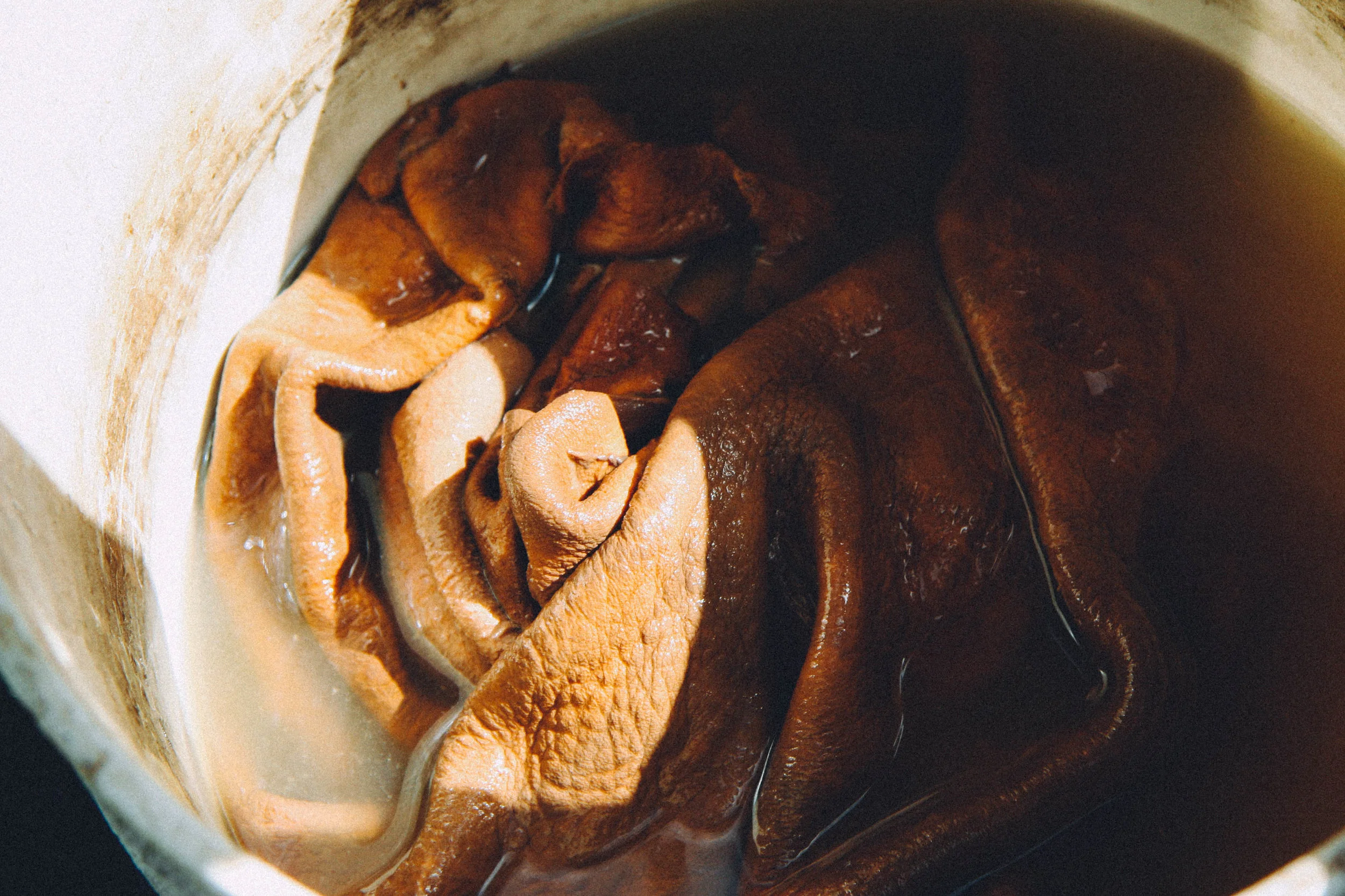 You can see the 'grain' of the hide puckering from the pickling effect of the tannin baths. The tannins penetrate the hide and tighten the fiber layer, increasing the waterproofness of the skins. The liquid can move in and out but the tannins do not escape once penetrated.