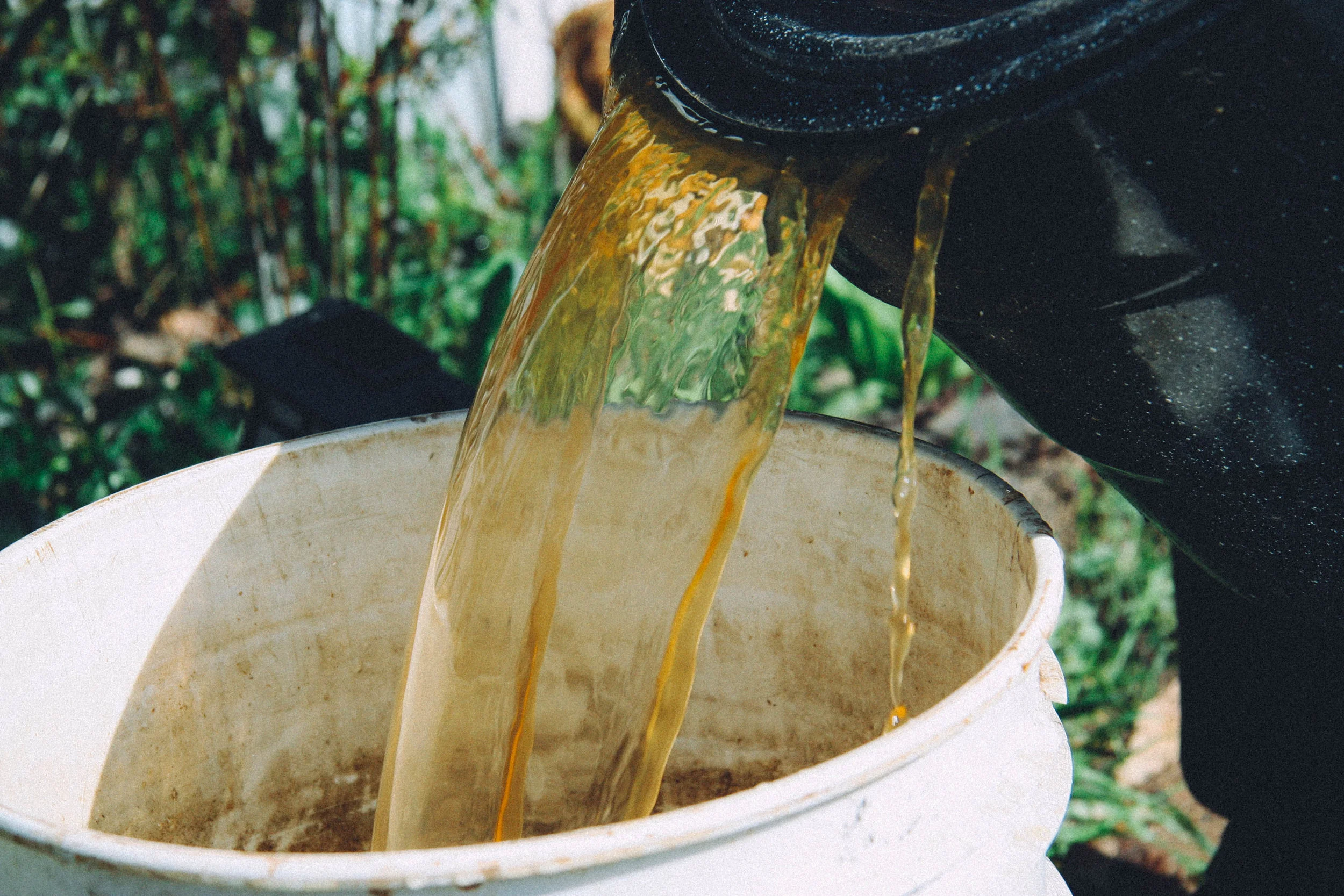 Eric pouring fresh tannins into a bucket with deer hides nearly done tanning.
