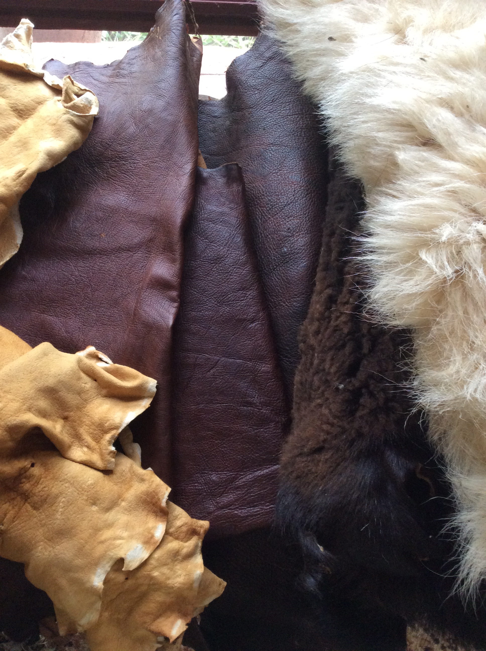 From left to right: smoked brain tanned buckskin, Coffee/Tea/Tanoak tanned leather, Hemlock/Sumac/Tanoak Tanned leather, brain tanned sheepskins.