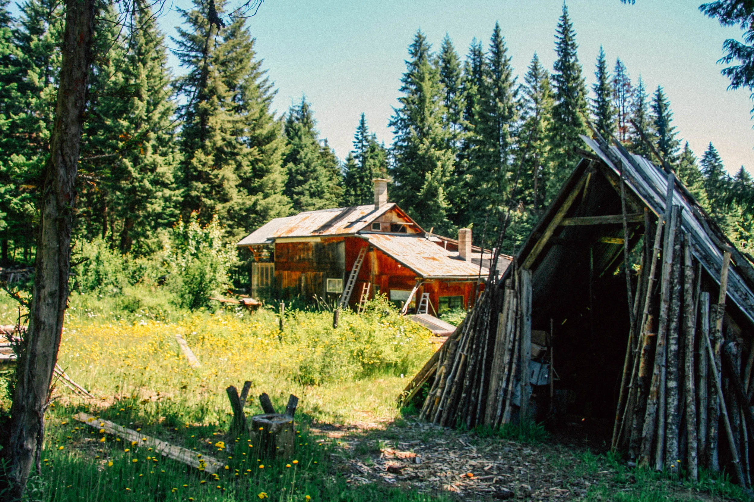 Main house and wood shed.