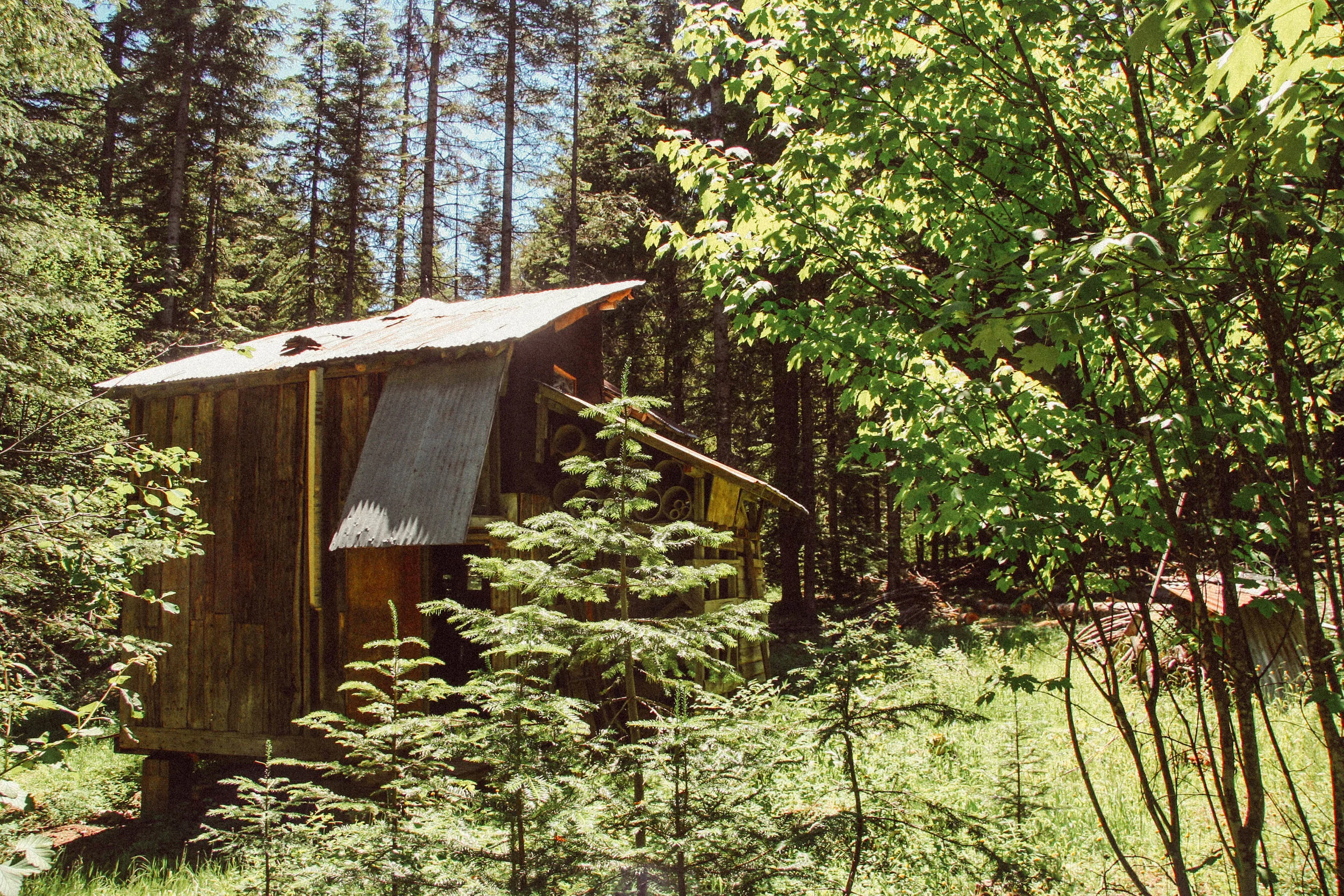 Guest cabin.