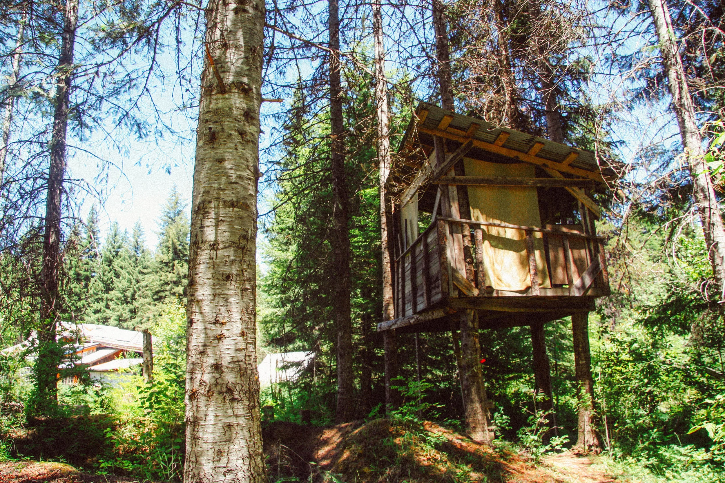 Treehouse / Guest house.