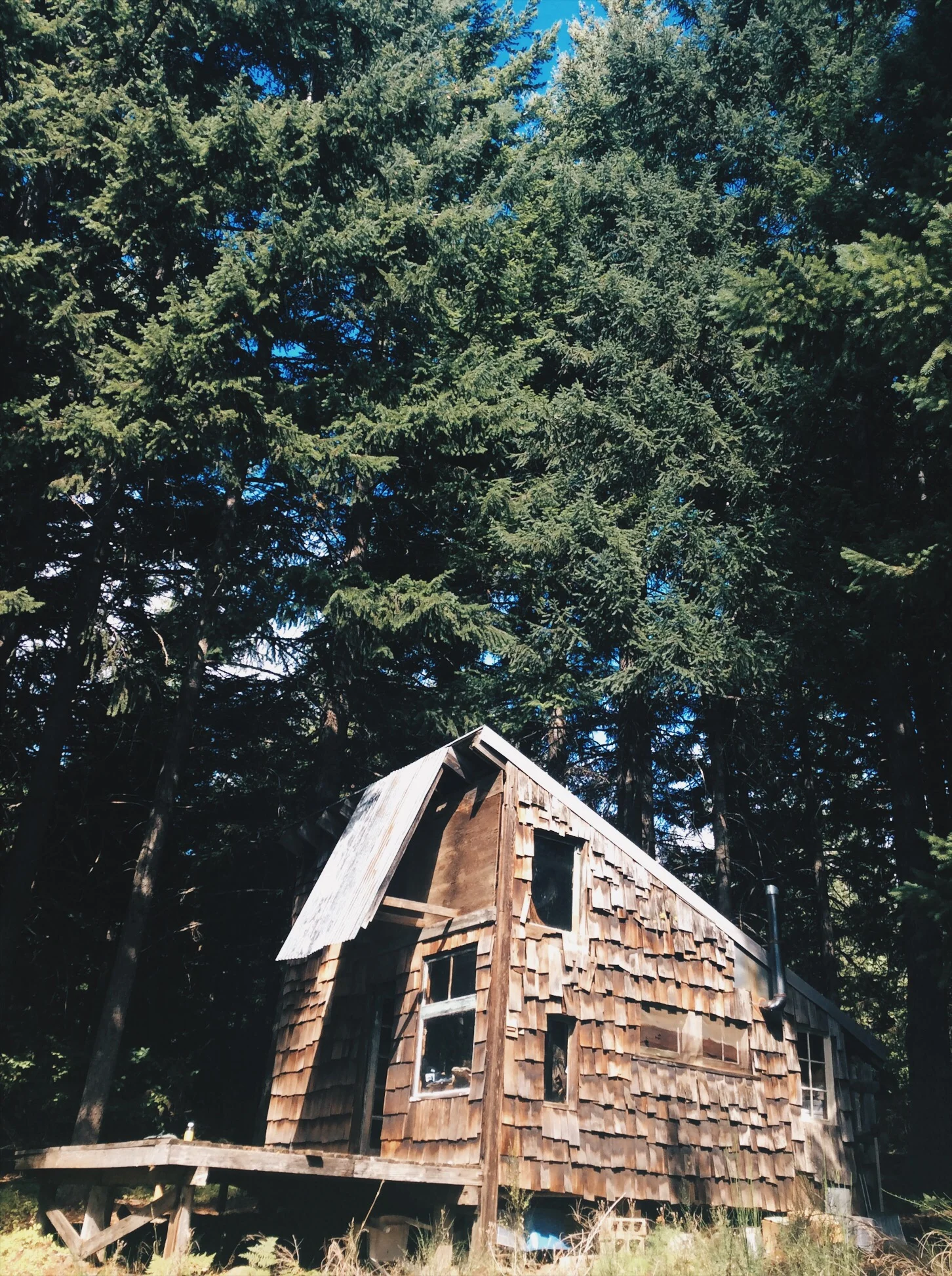 vsco-photo-2 (3).jpg