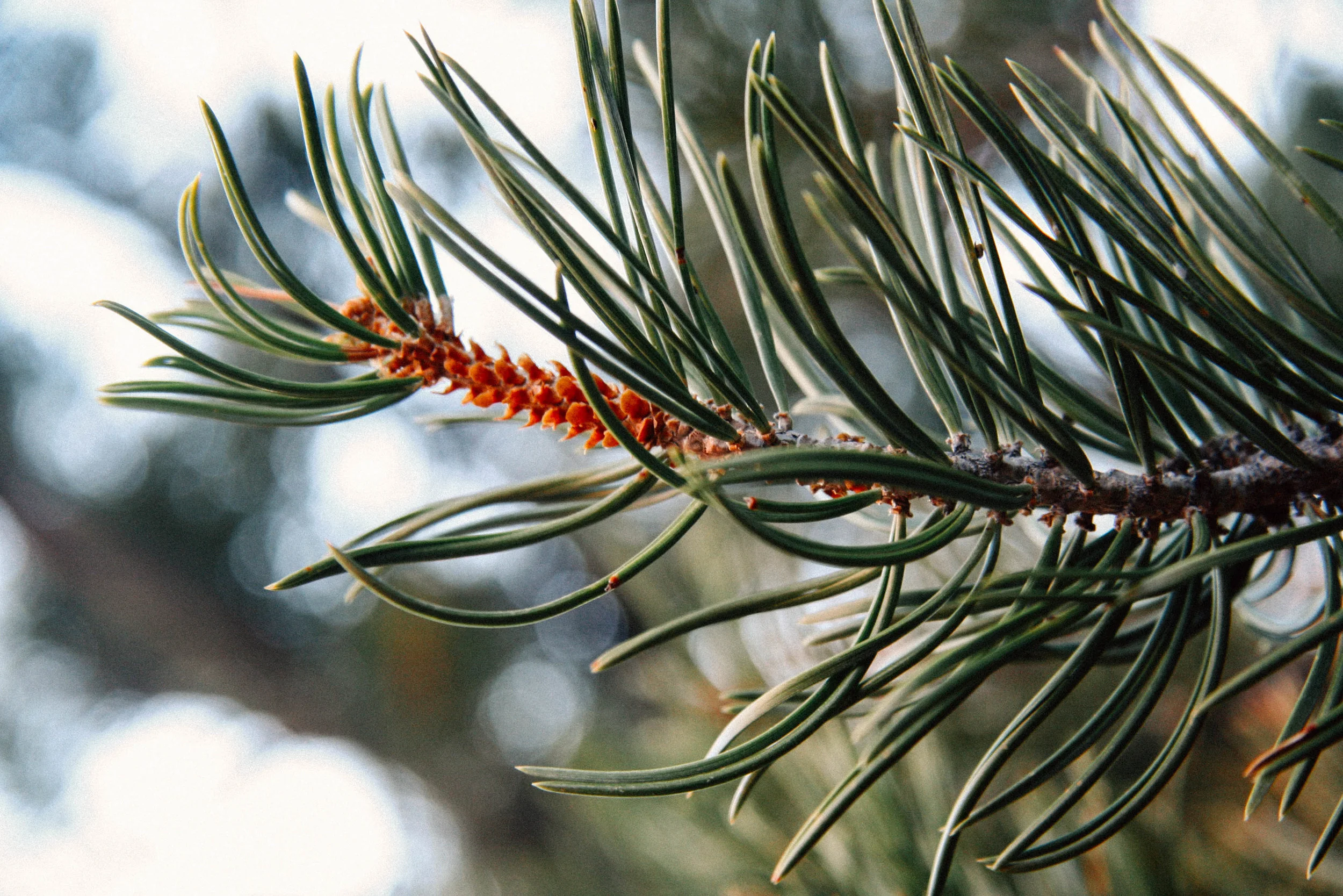 EF547852-3C3D-421E-AF1E-2DADD1E639DA