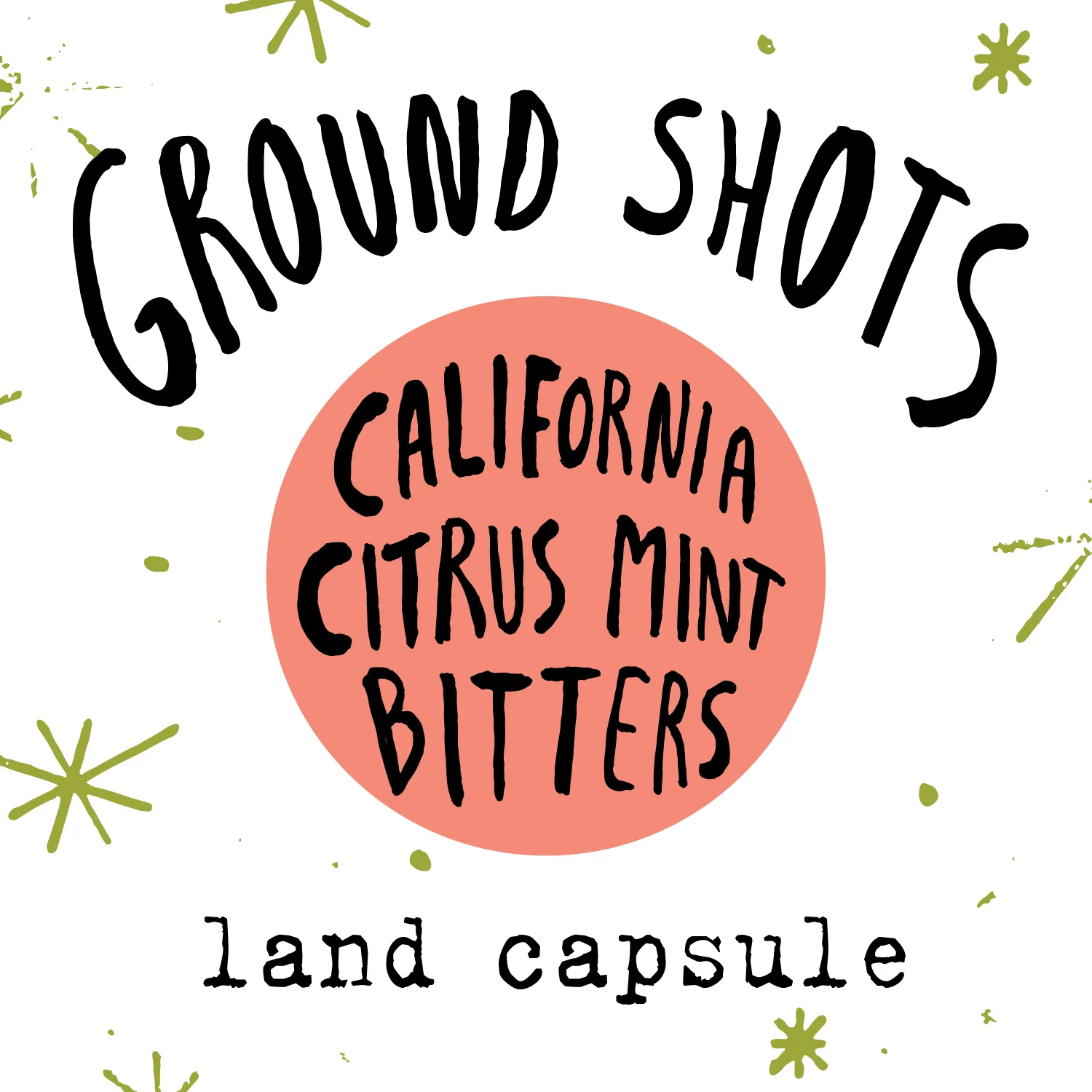 citrus mint insta_v.jpg
