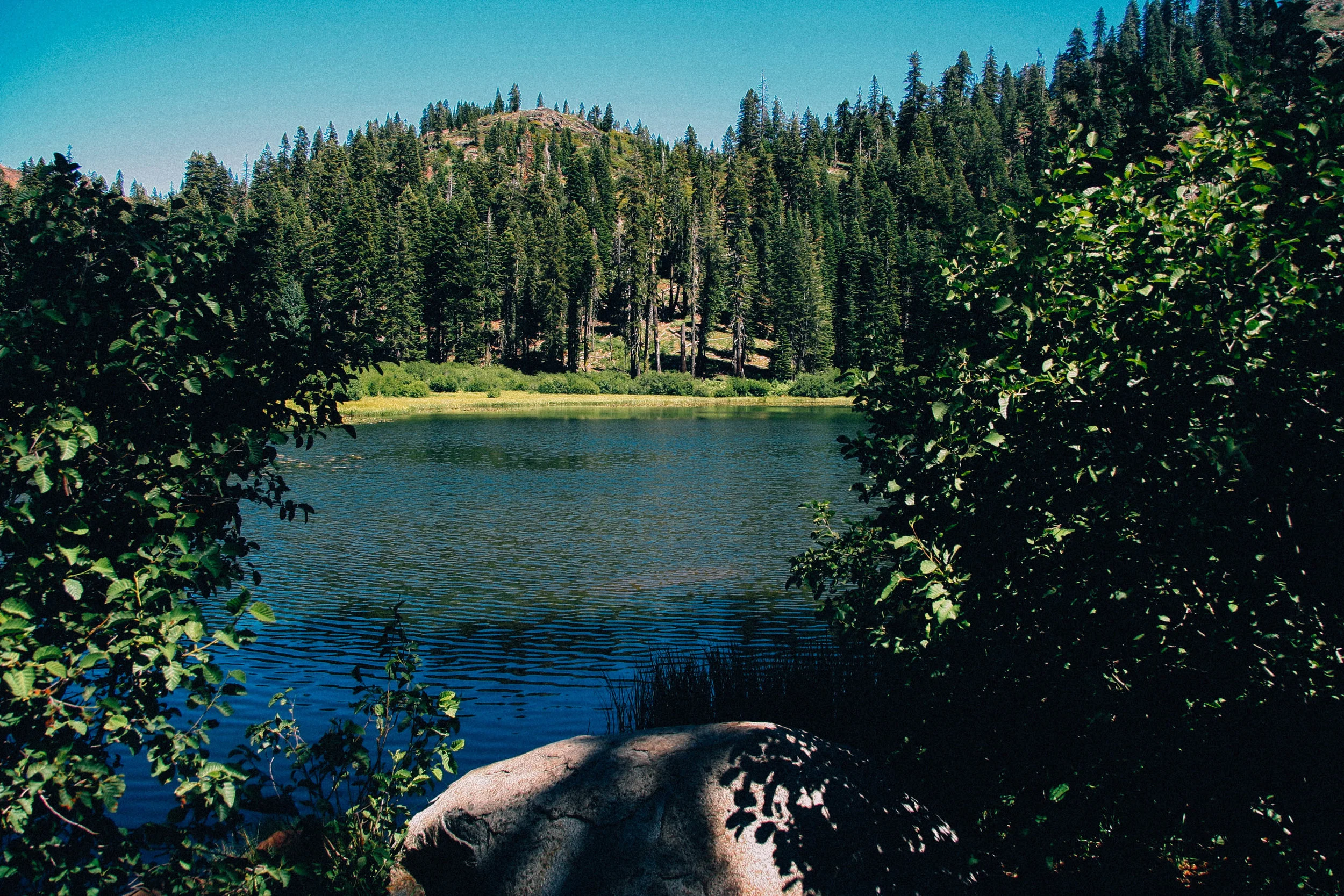highsierraedits-87.jpg
