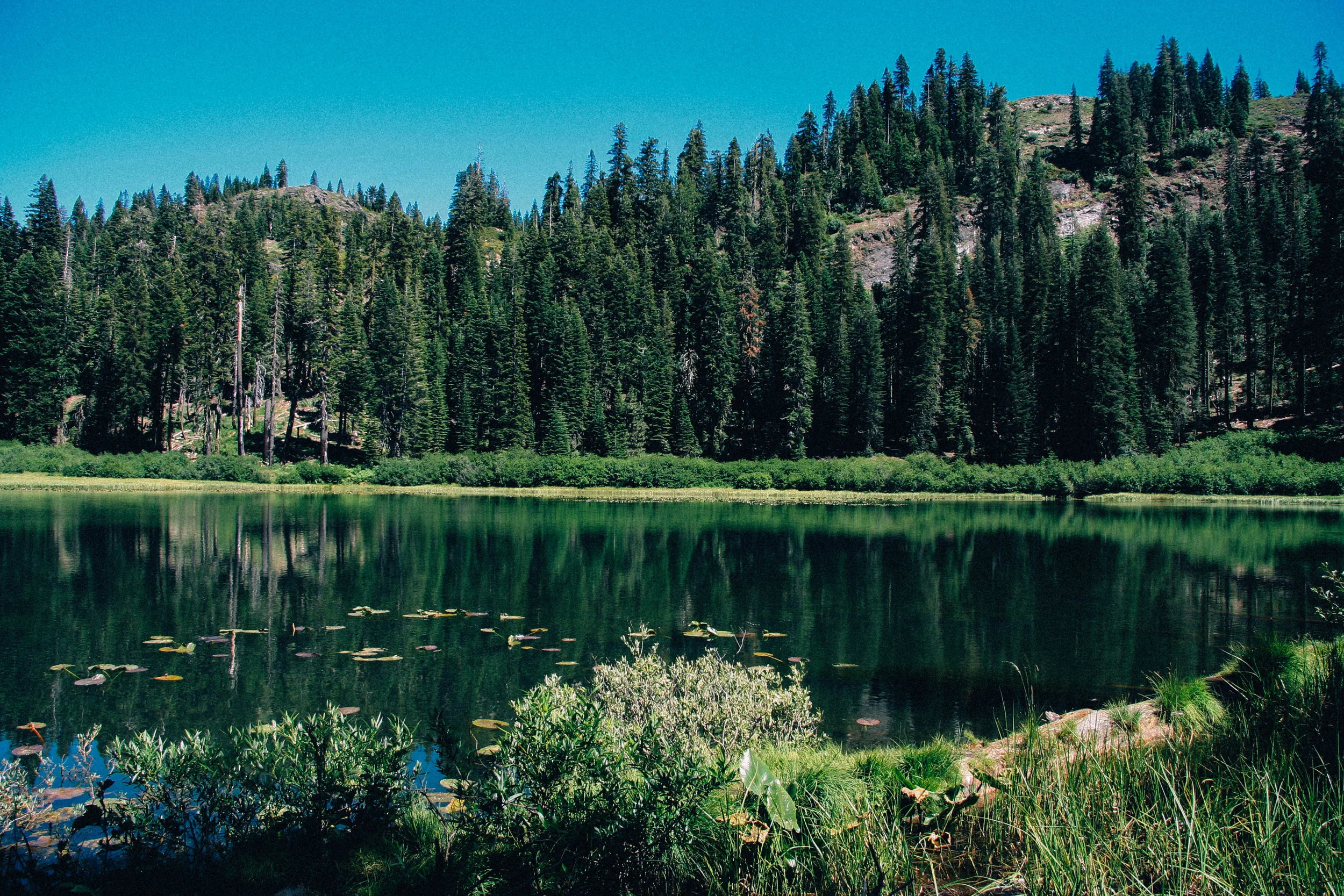 highsierraedits-88.jpg