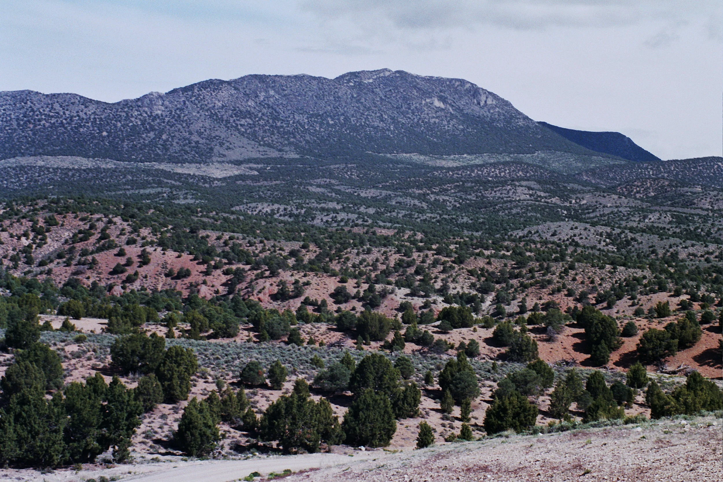 (Nevada / film / 2018)