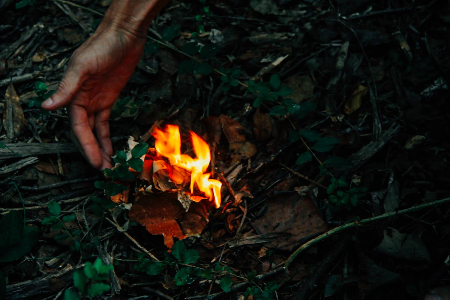River Birch bark burning