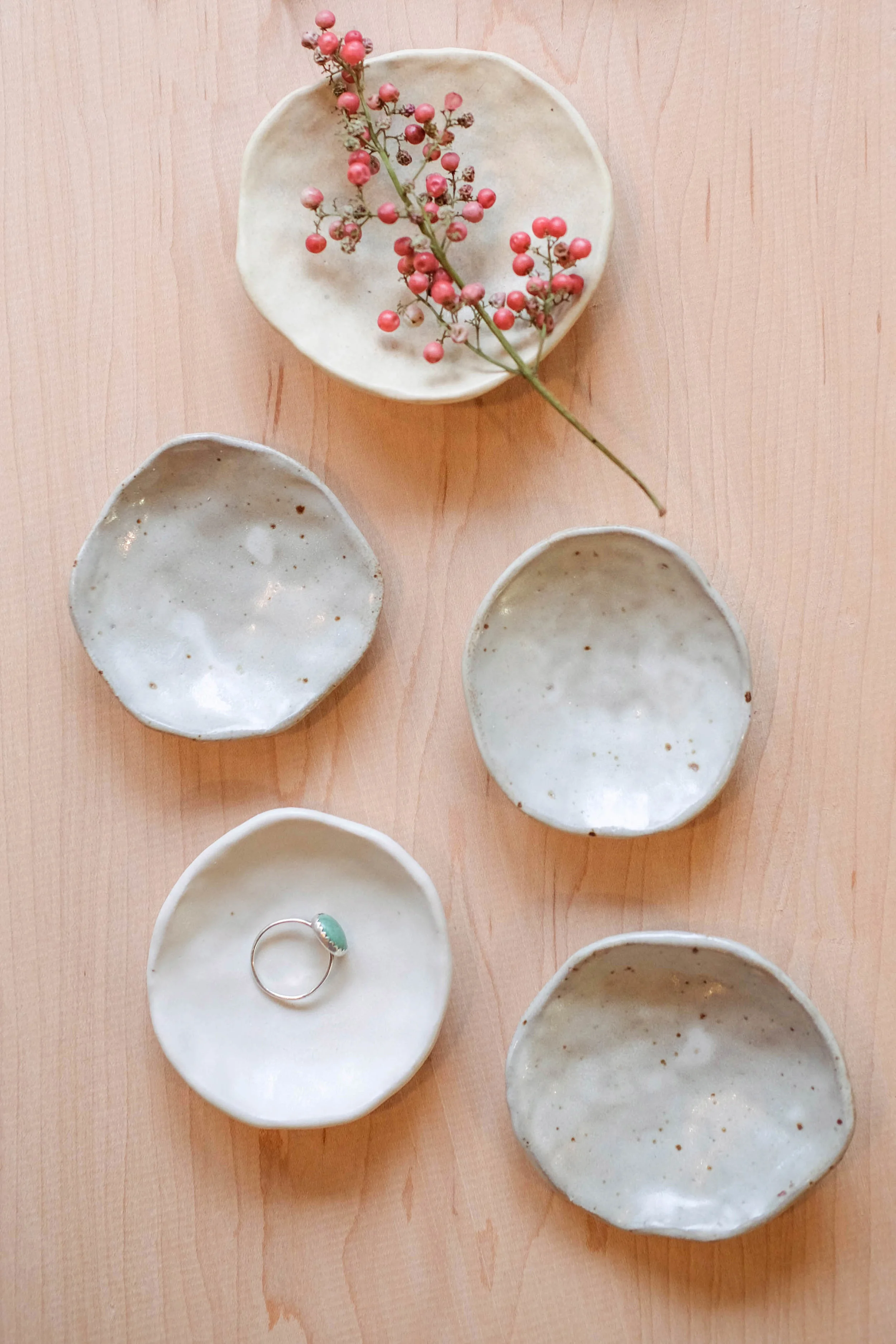 dishsmall5new-2.jpg