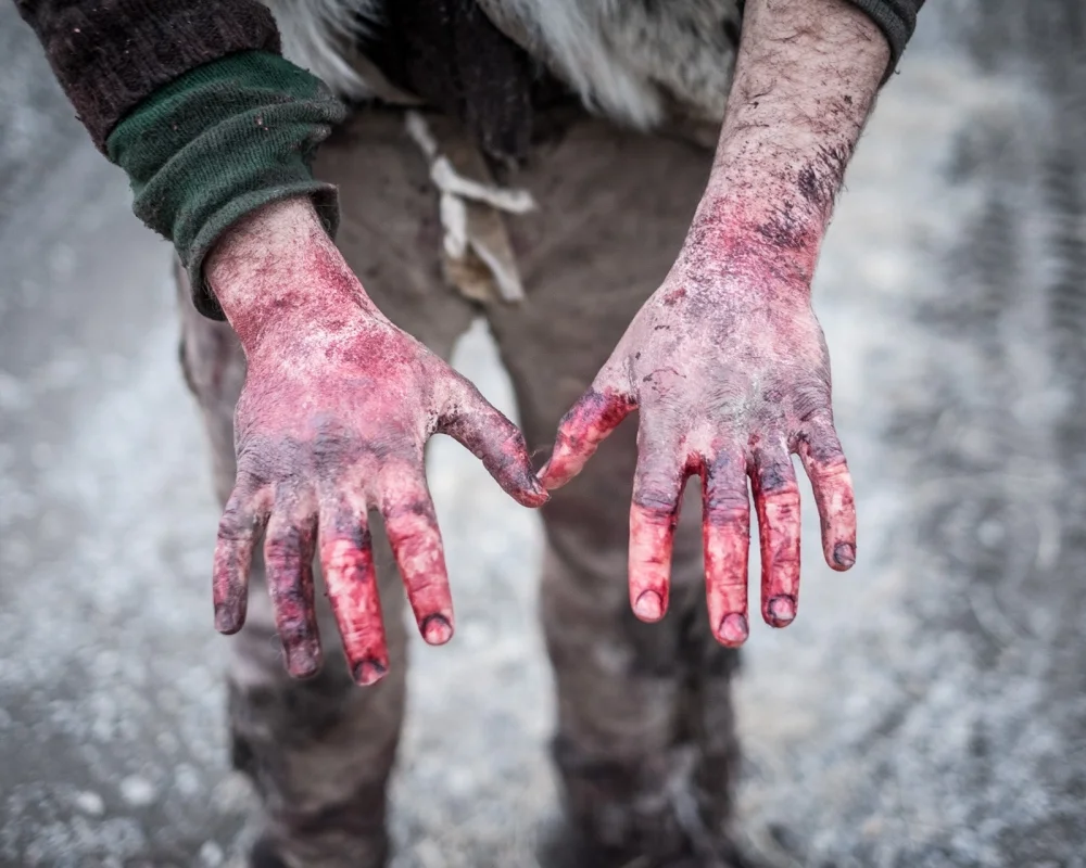 Photo by Matt Hamon: http://www.matthamon.com/the-gleaners
