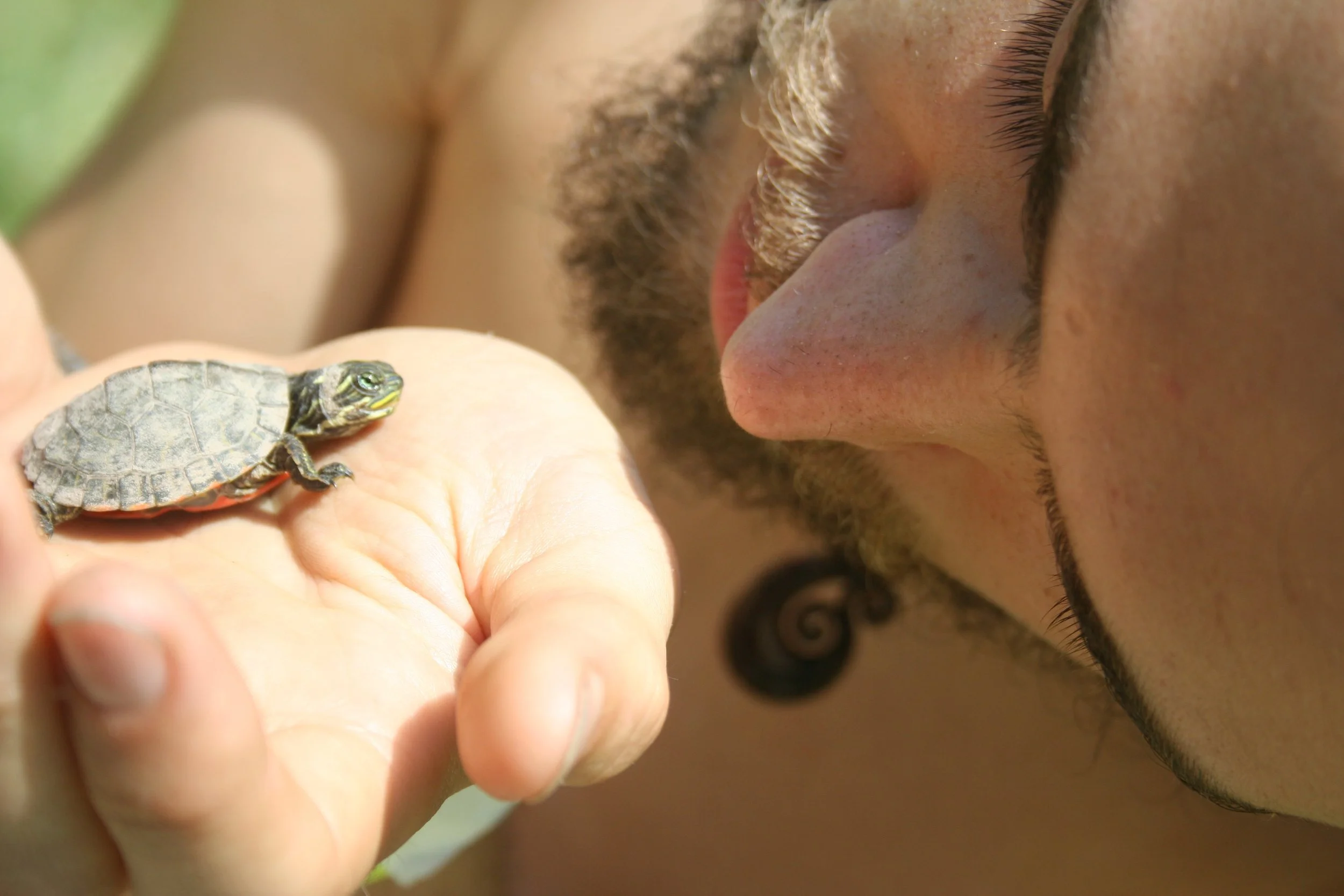 Episode #67: Ted Packard on bodies as a multiplicity, coyote-trickster troubadour-ing, music as ecological channeling, kids and nature connection, & creating communities of mutuality