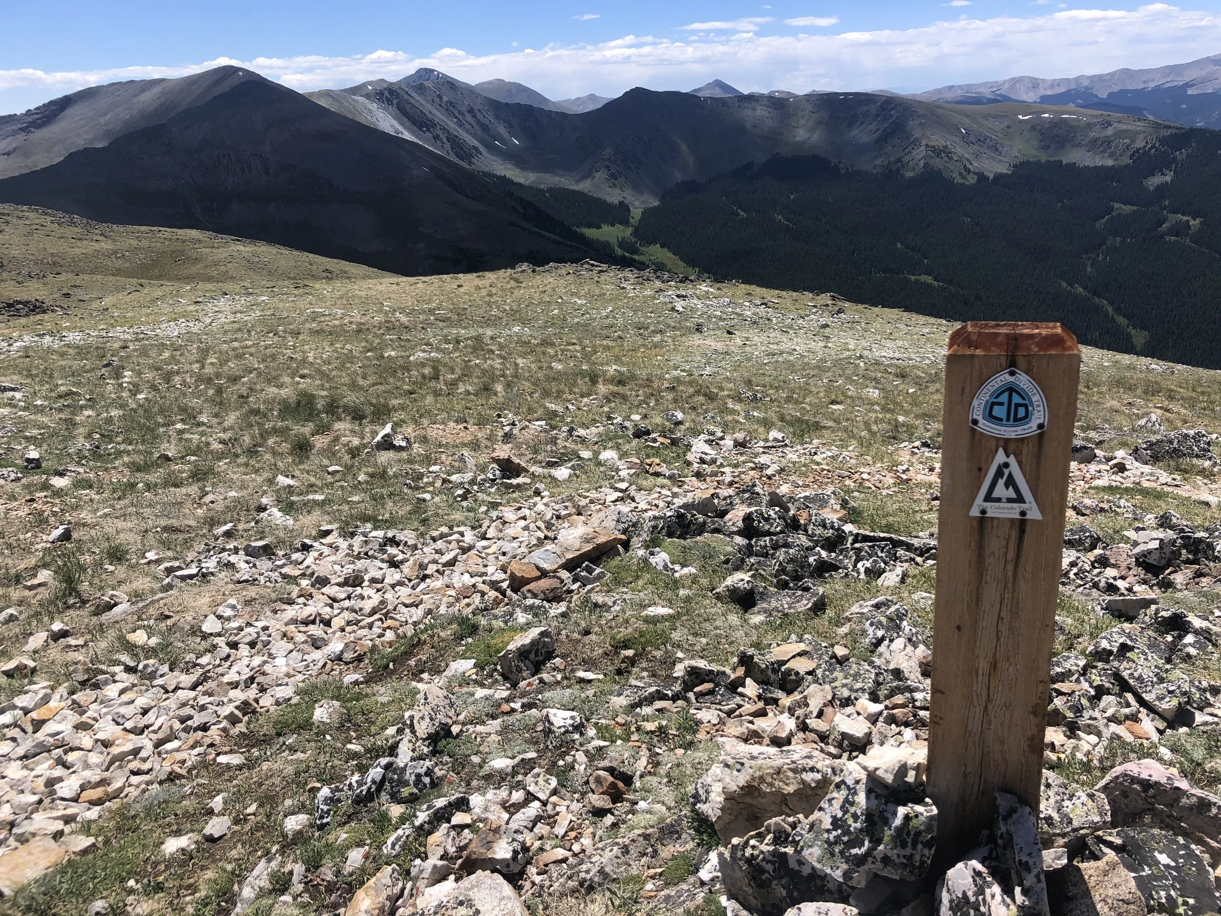 Western Colorado Ecology Immersion: High Elevation Ecology Study