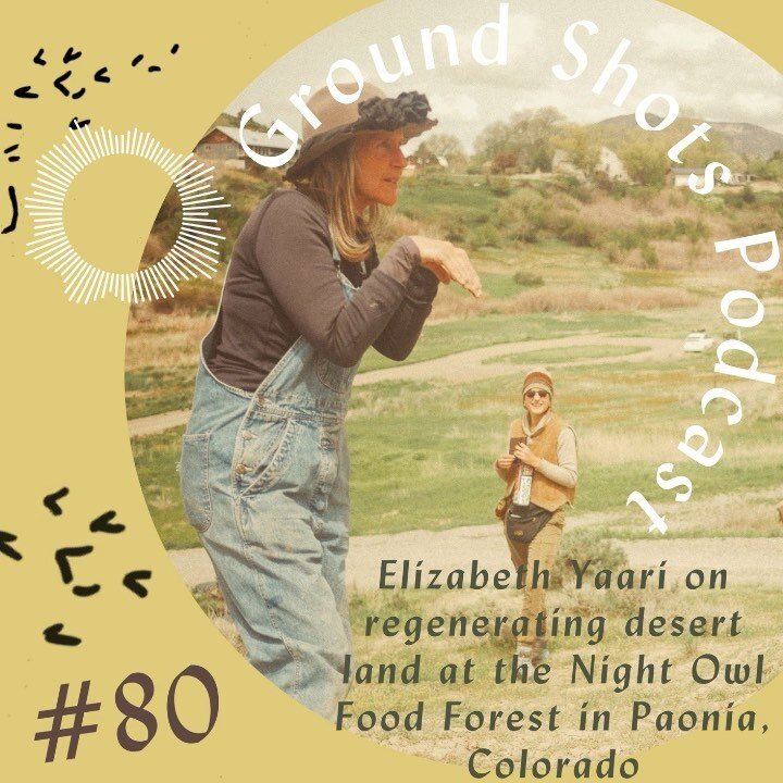 We&rsquo;re at episode 80! of #thegroundshotspodcast / go give it a listen, share widely and give us reviews on iTunes and Spotify- consider becoming a supporter on groundshots.Substack.com or via Venmo at Kelly-moody-6 #foodforest #permaculture #nor