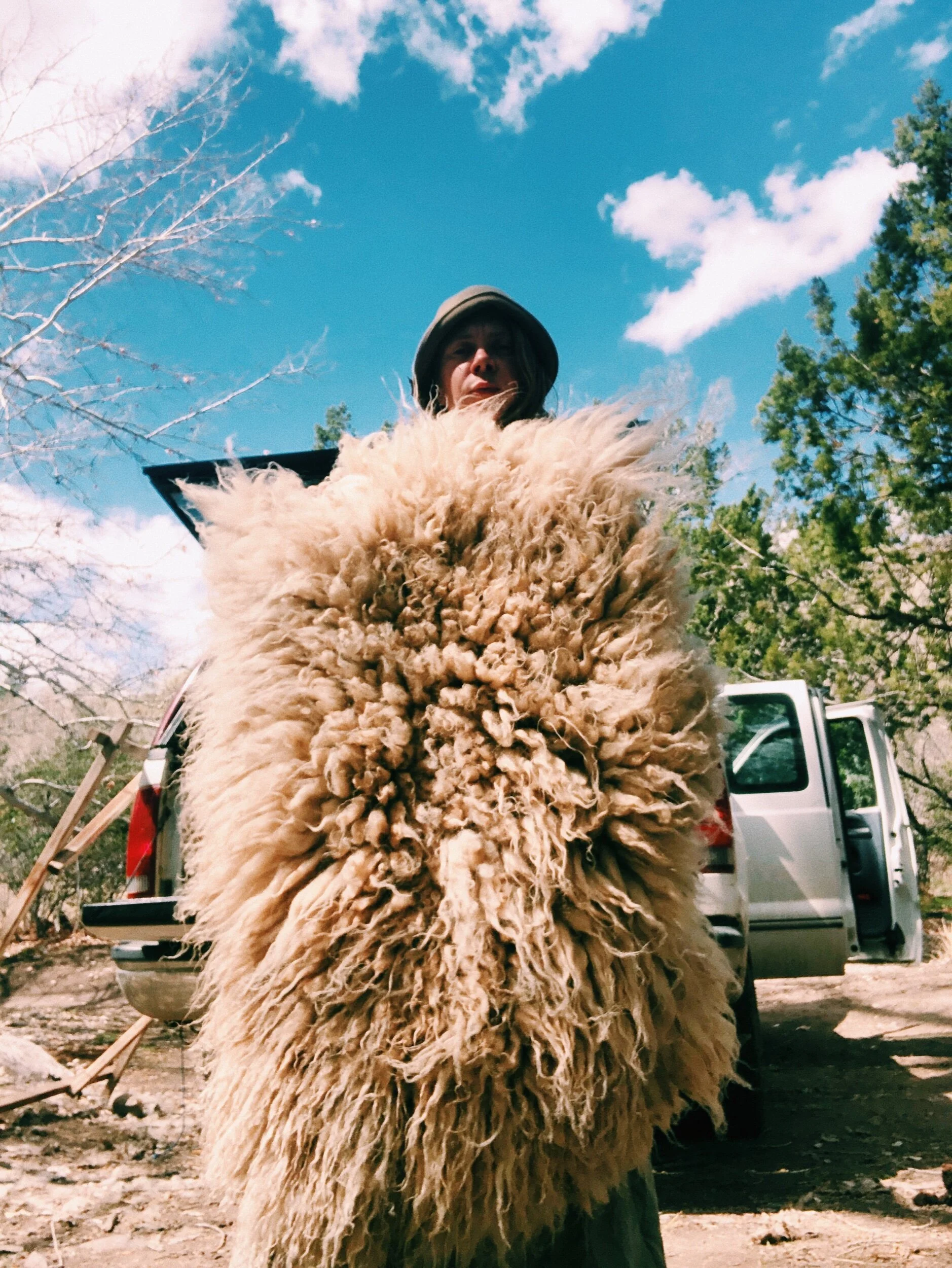 B2C5CAF4-3A86-46CF-969E-A24636154EDB