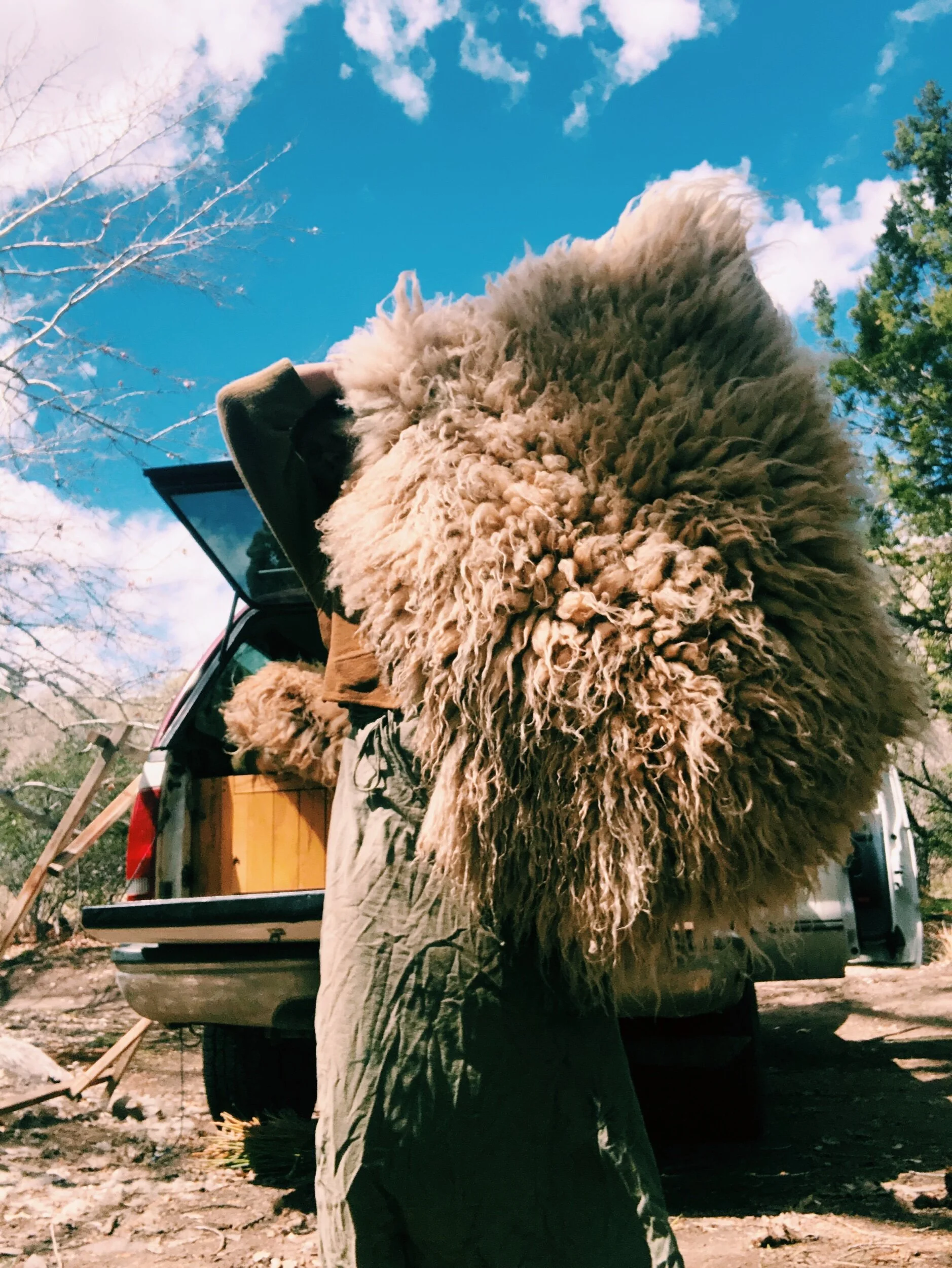 BFED21D4-5911-4559-AF6B-1CD55644A774